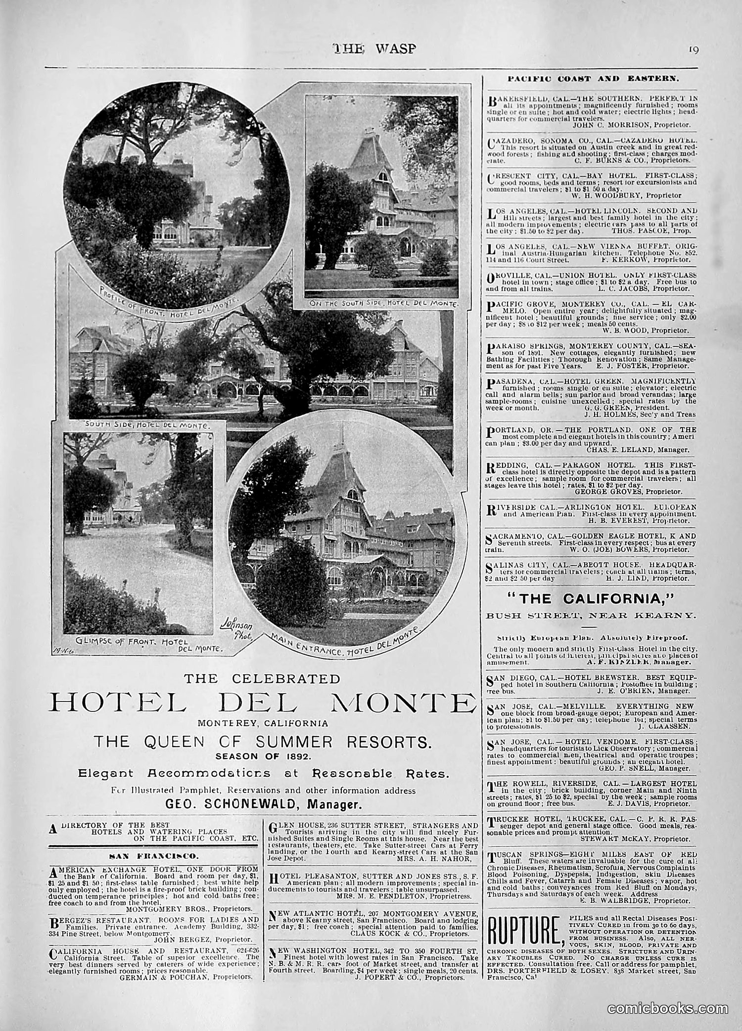 The Wasp — 1892 — page 260 of 590