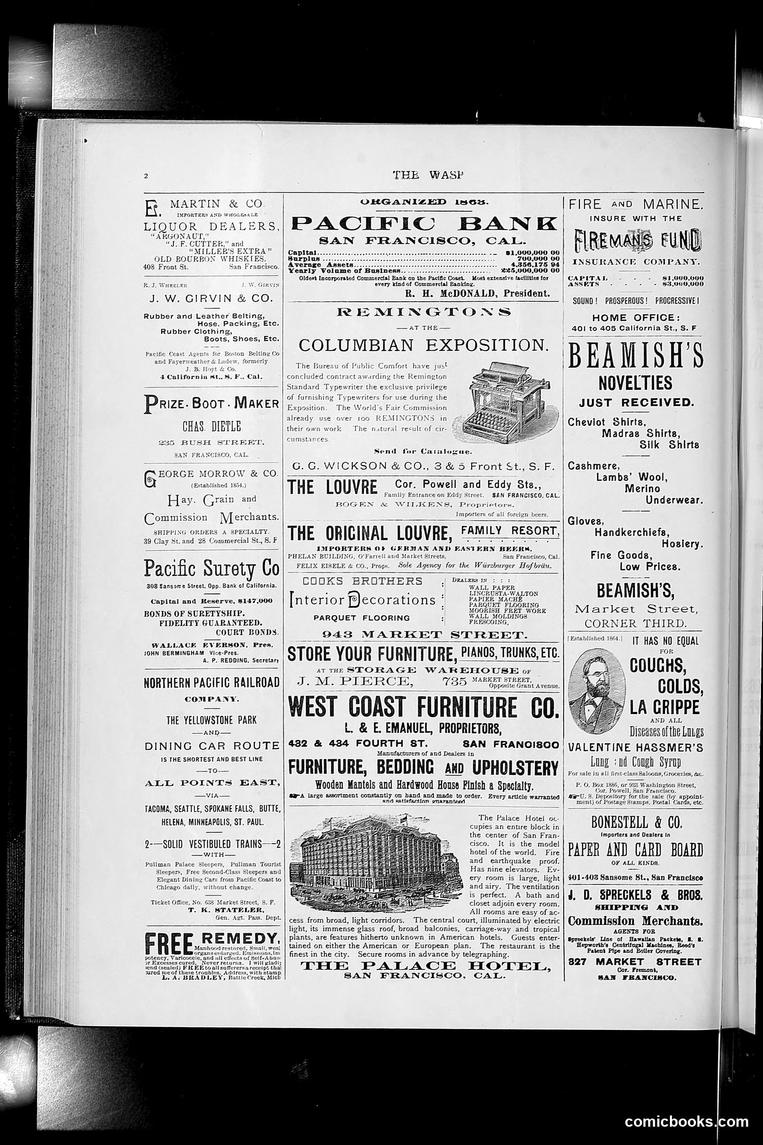 The Wasp — 1892 — page 263 of 590