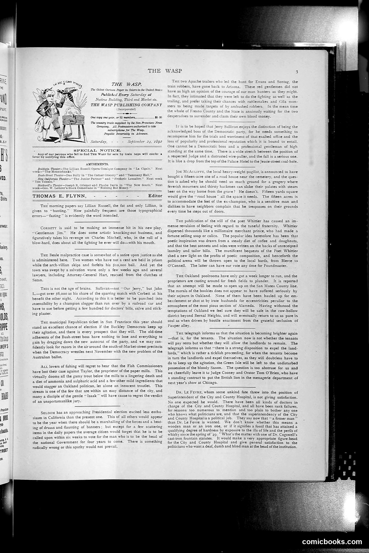 The Wasp — 1892 — page 264 of 590
