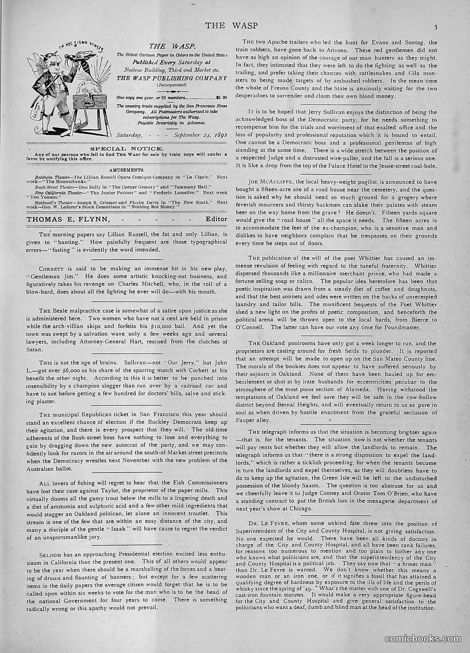 The Wasp — 1892 — page 266 of 590