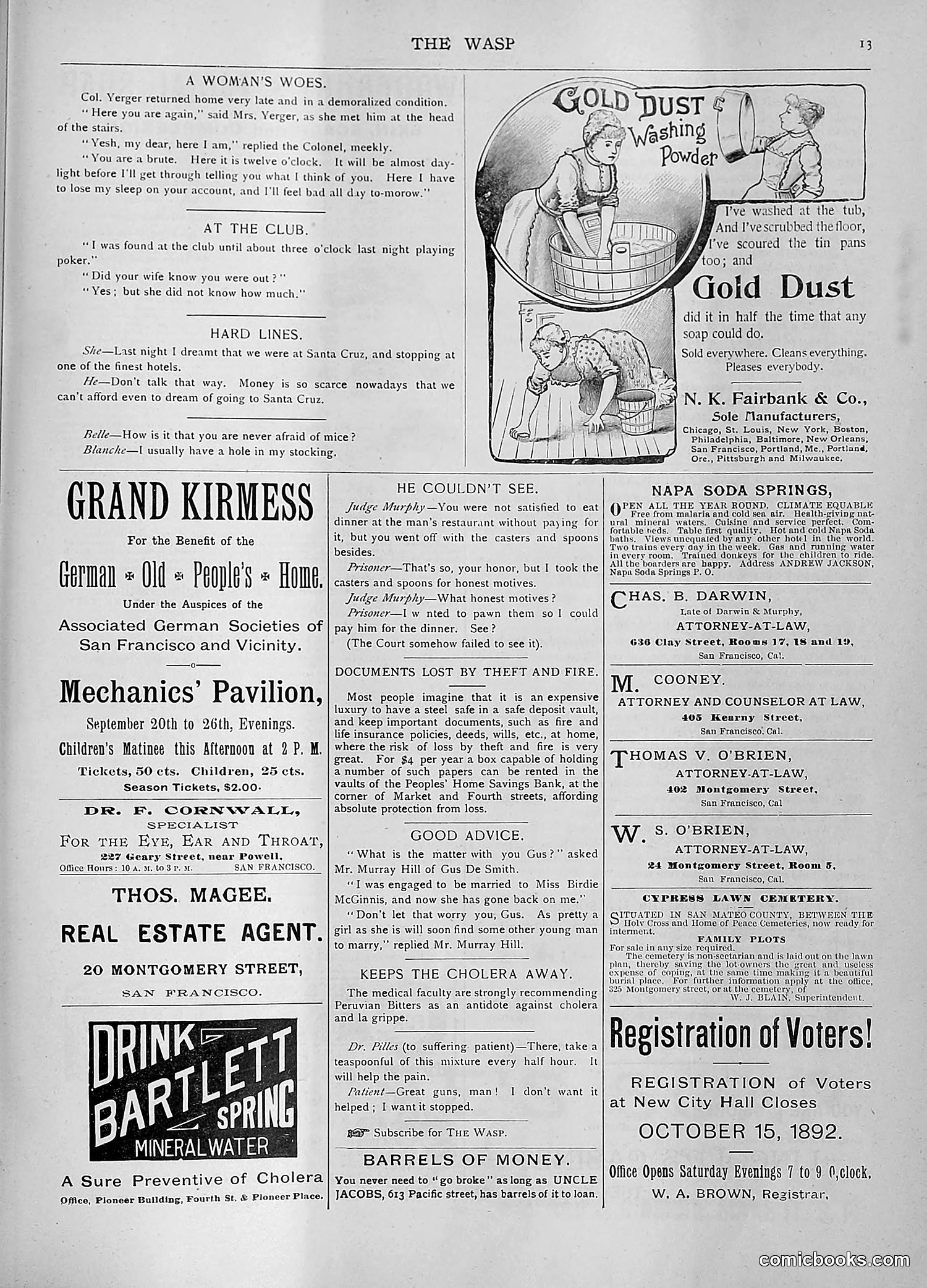 The Wasp — 1892 — page 276 of 590
