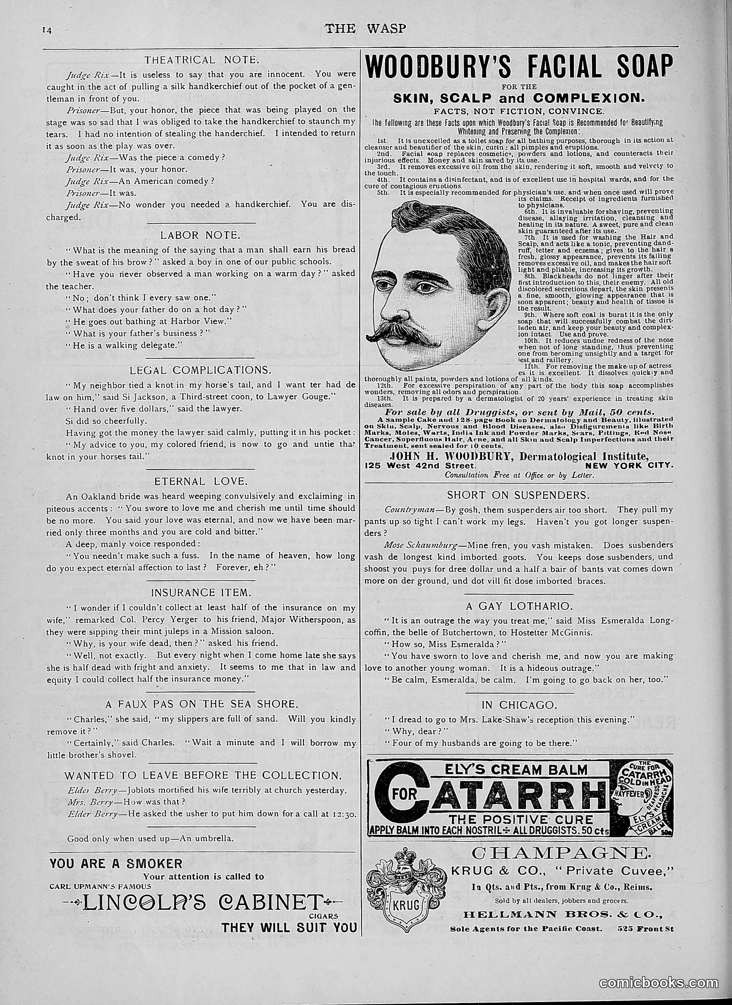 The Wasp — 1892 — page 277 of 590