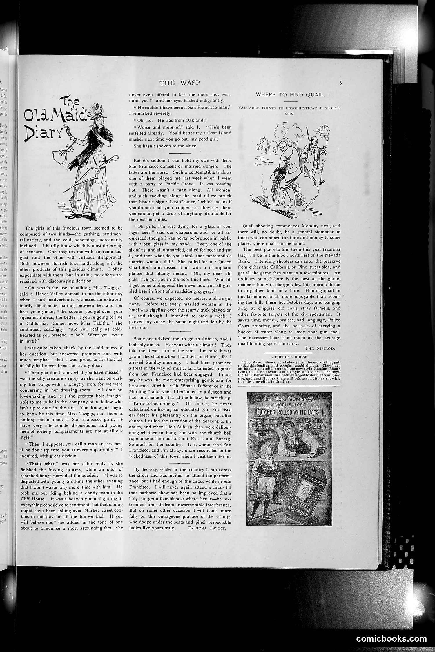 The Wasp — 1892 — page 288 of 590