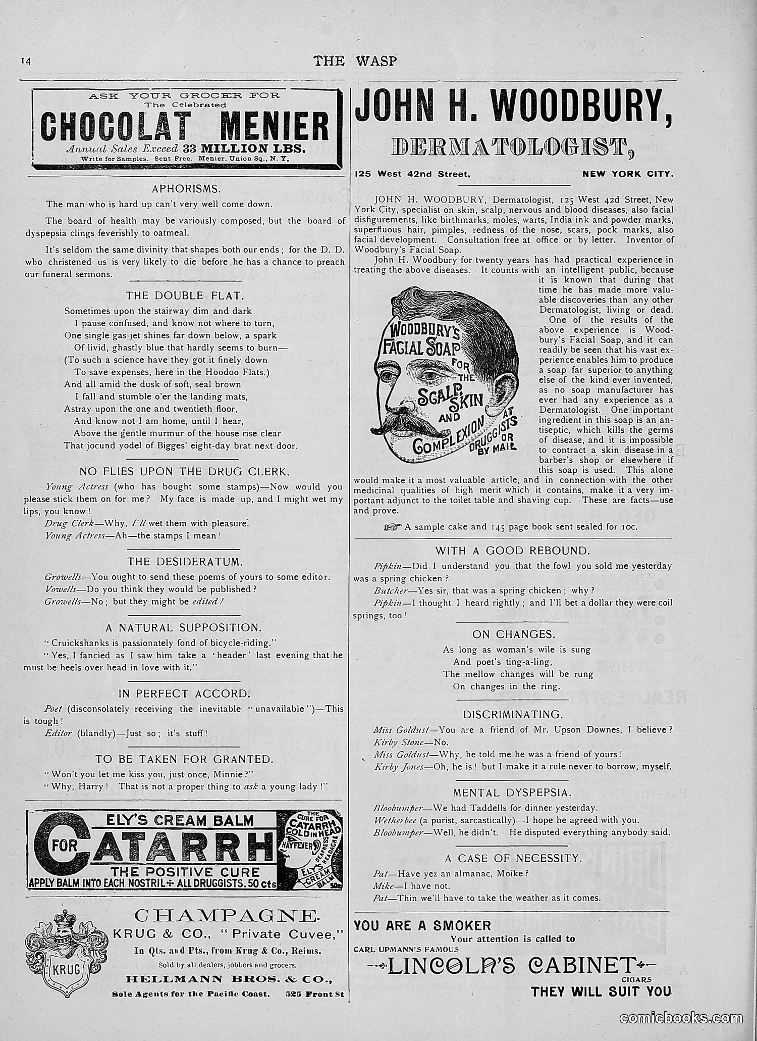 The Wasp — 1892 — page 299 of 590