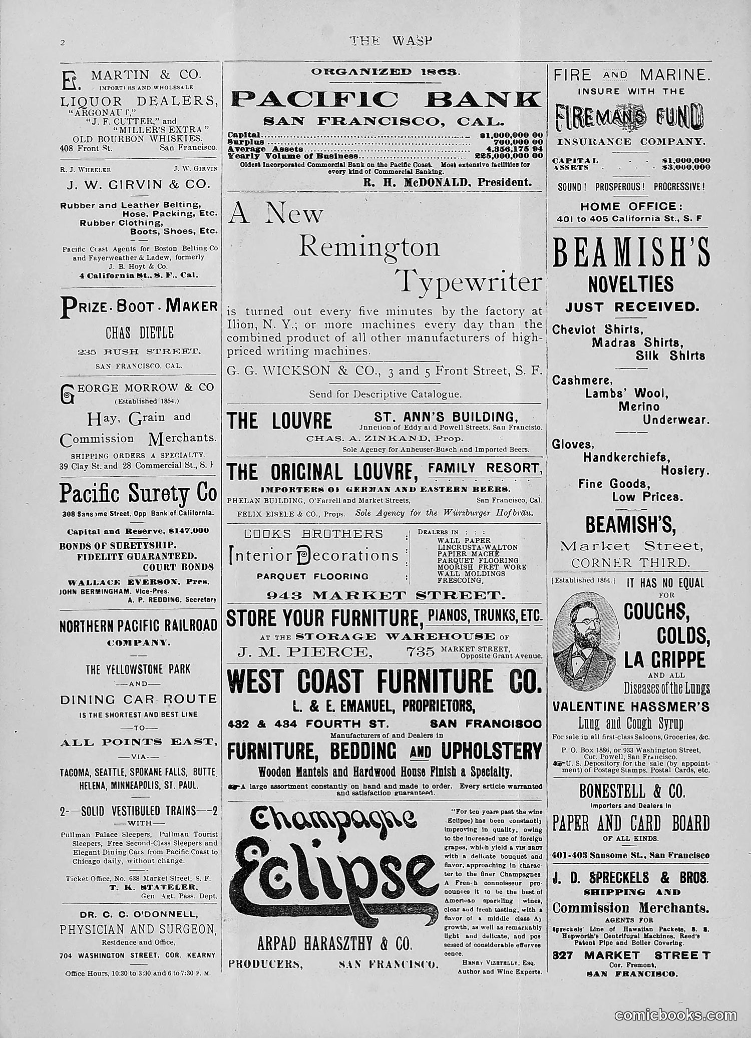 The Wasp — 1892 — page 31 of 590