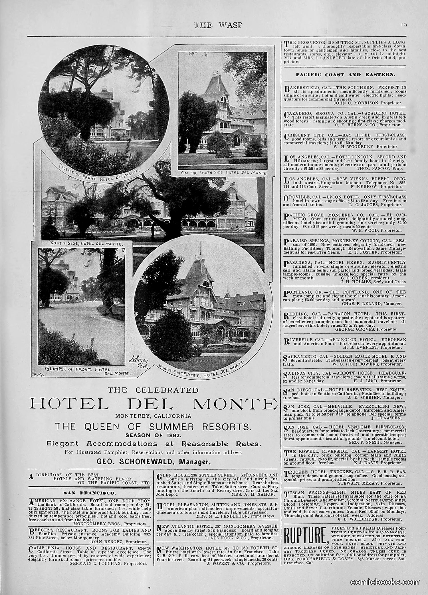 The Wasp — 1892 — page 304 of 590