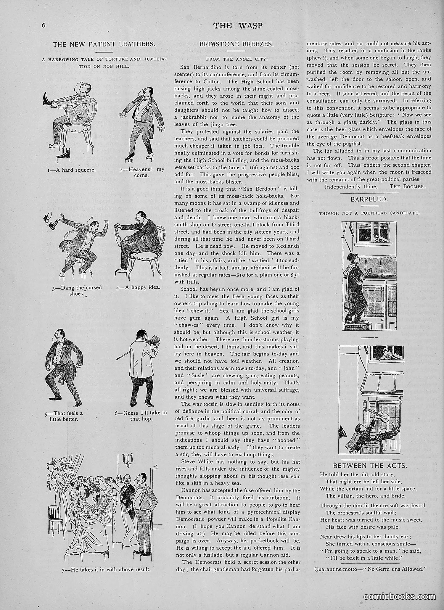 The Wasp — 1892 — page 311 of 590