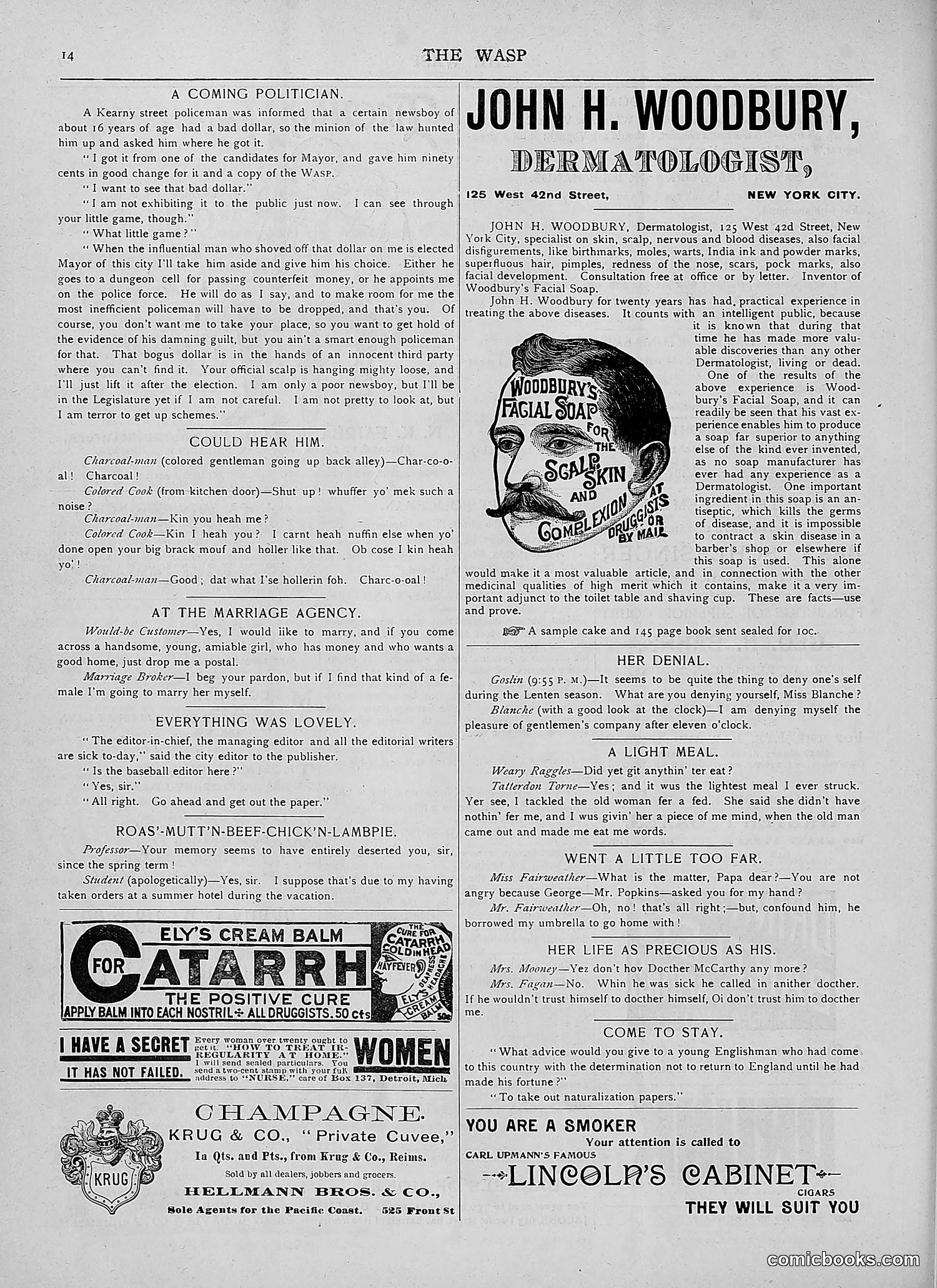 The Wasp — 1892 — page 319 of 590