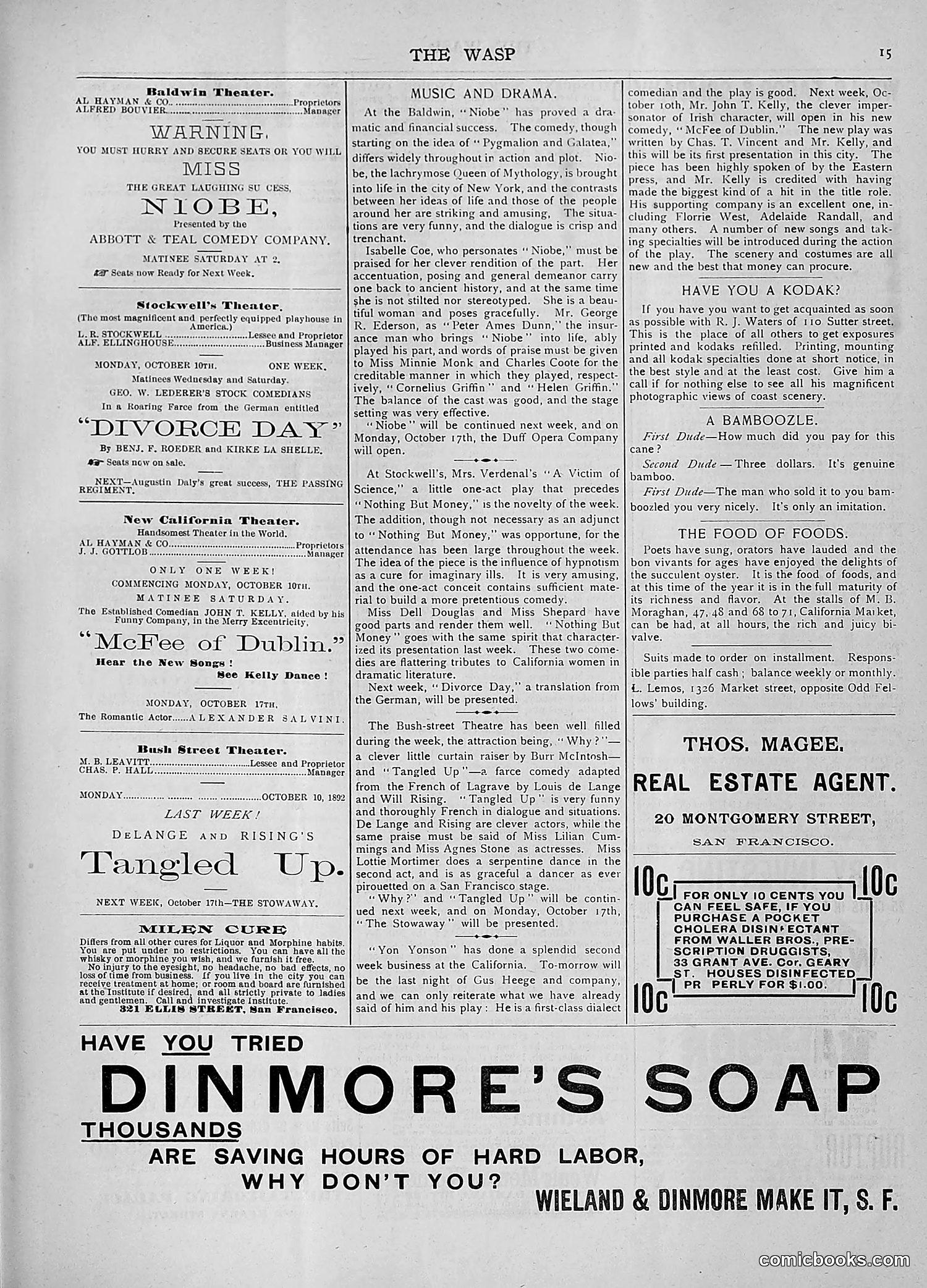 The Wasp — 1892 — page 320 of 590