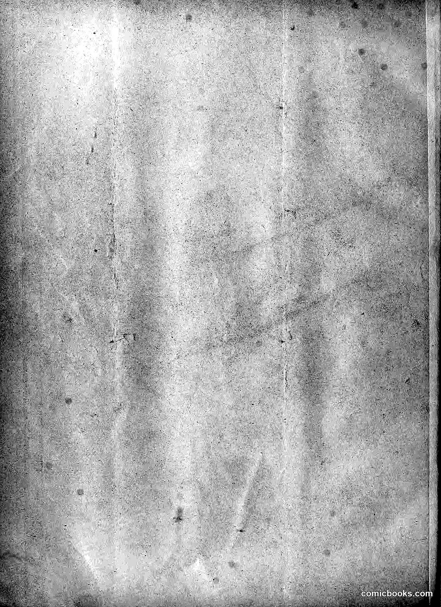 The Wasp — 1892 — page 339 of 590