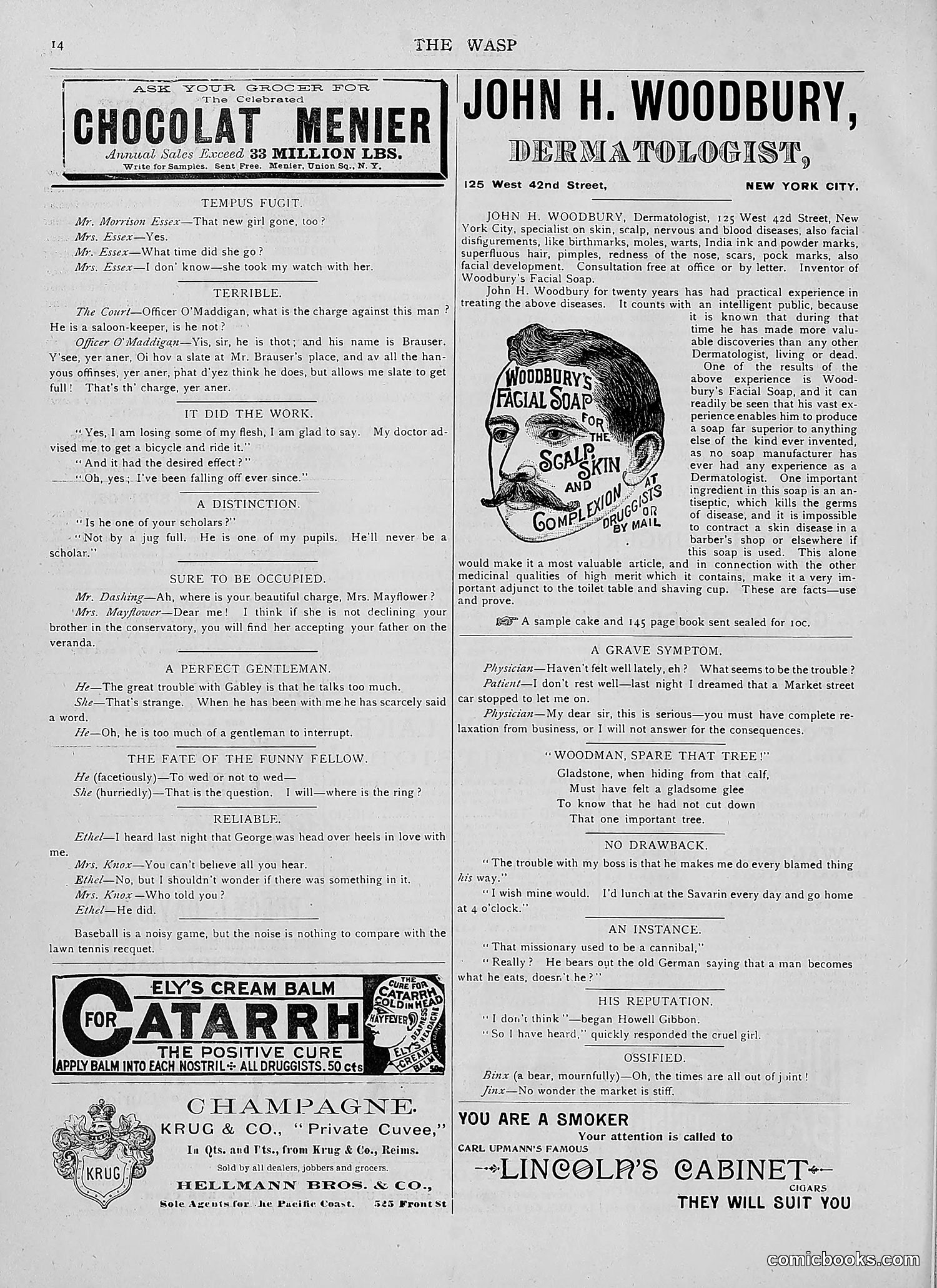 The Wasp — 1892 — page 345 of 590