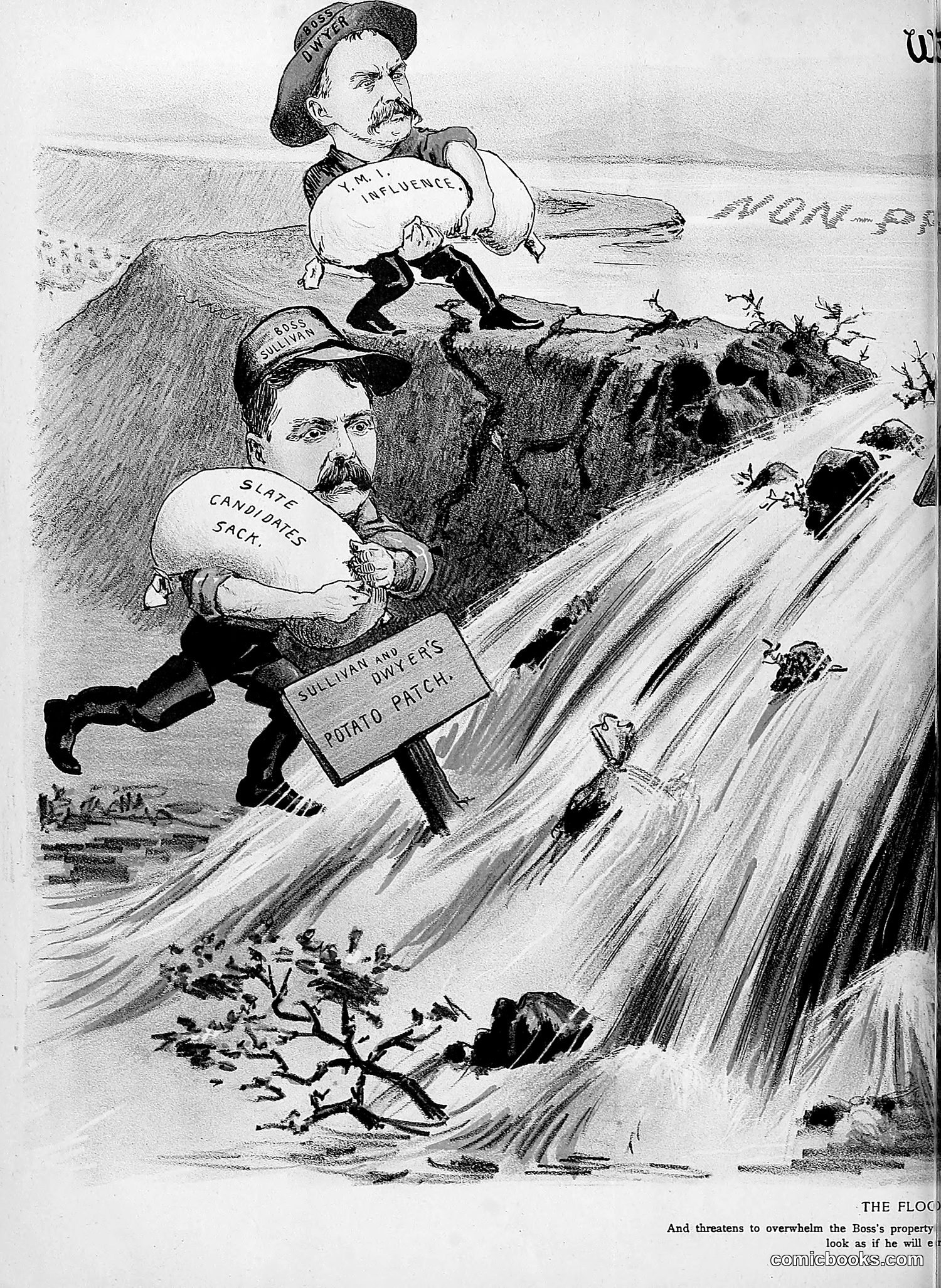 The Wasp — 1892 — page 361 of 590