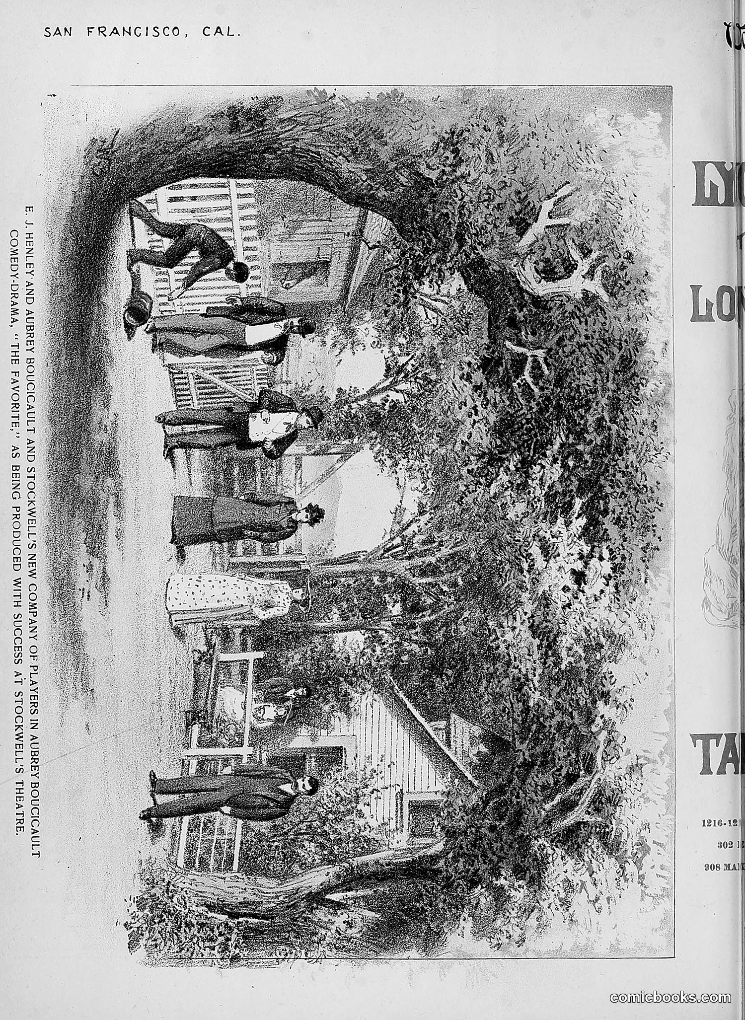 The Wasp — 1892 — page 381 of 590