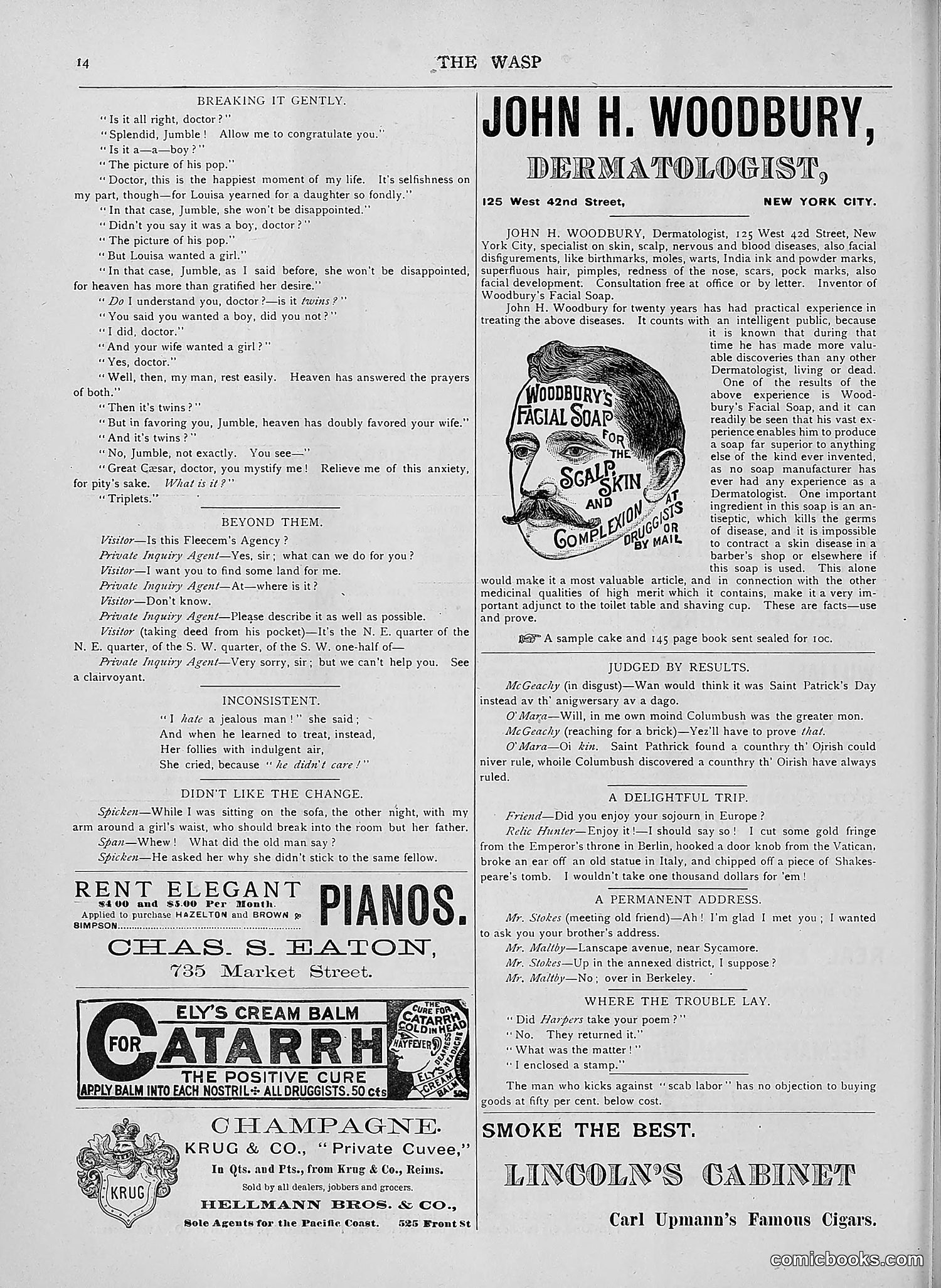 The Wasp — 1892 — page 389 of 590