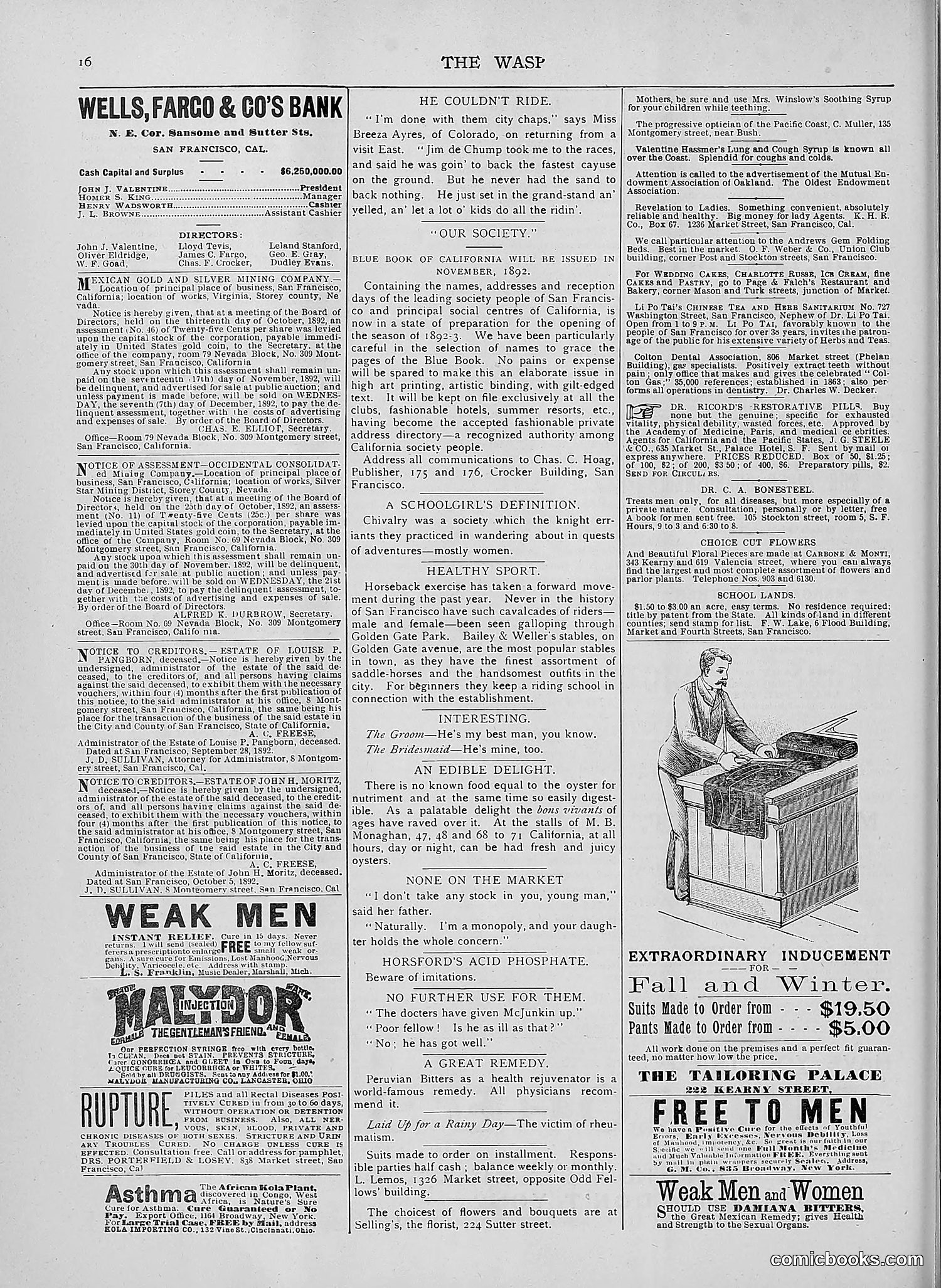 The Wasp — 1892 — page 391 of 590