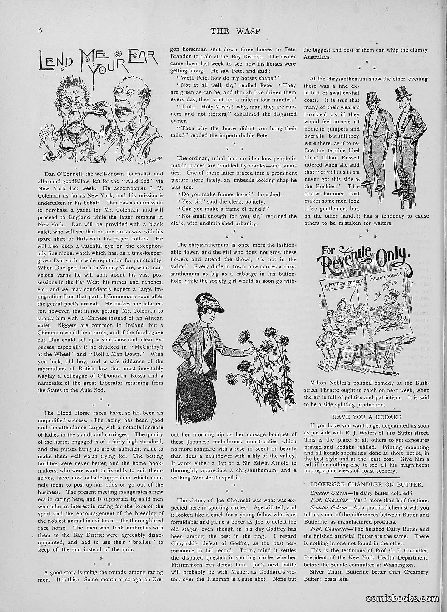 The Wasp — 1892 — page 401 of 590