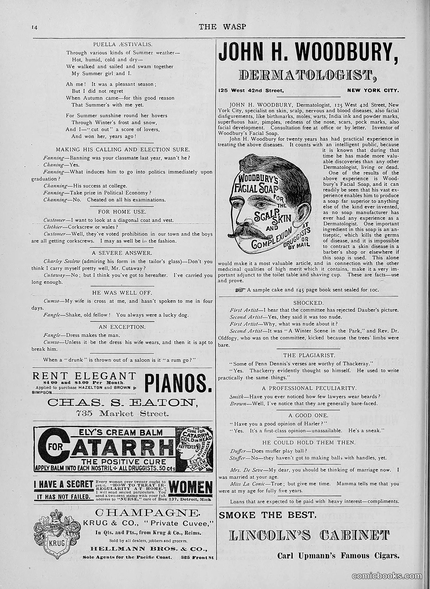 The Wasp — 1892 — page 409 of 590