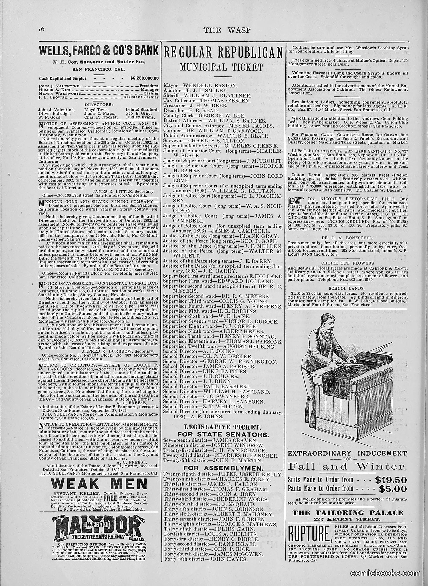 The Wasp — 1892 — page 411 of 590
