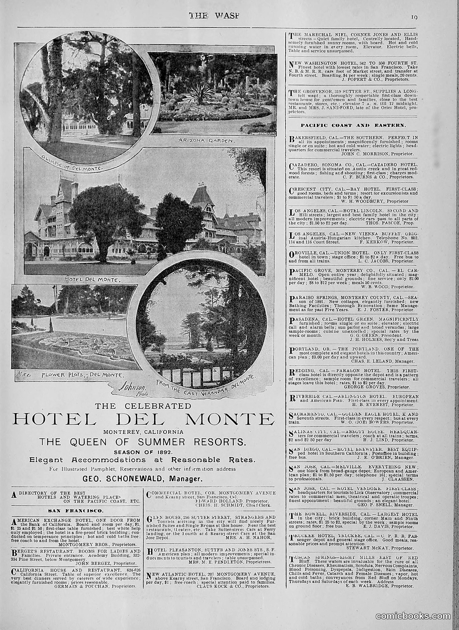 The Wasp — 1892 — page 414 of 590