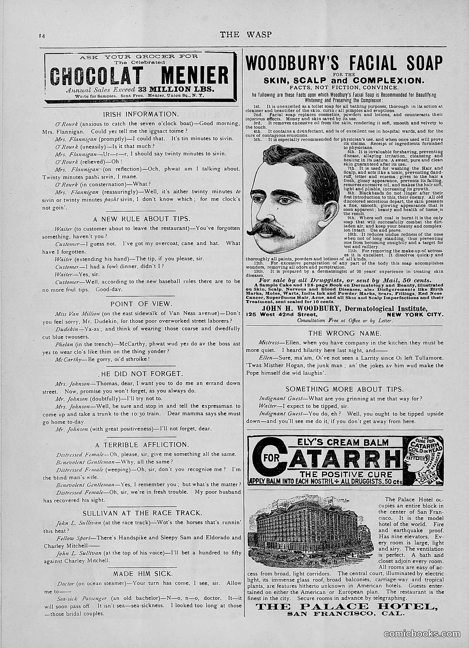 The Wasp — 1892 — page 43 of 590