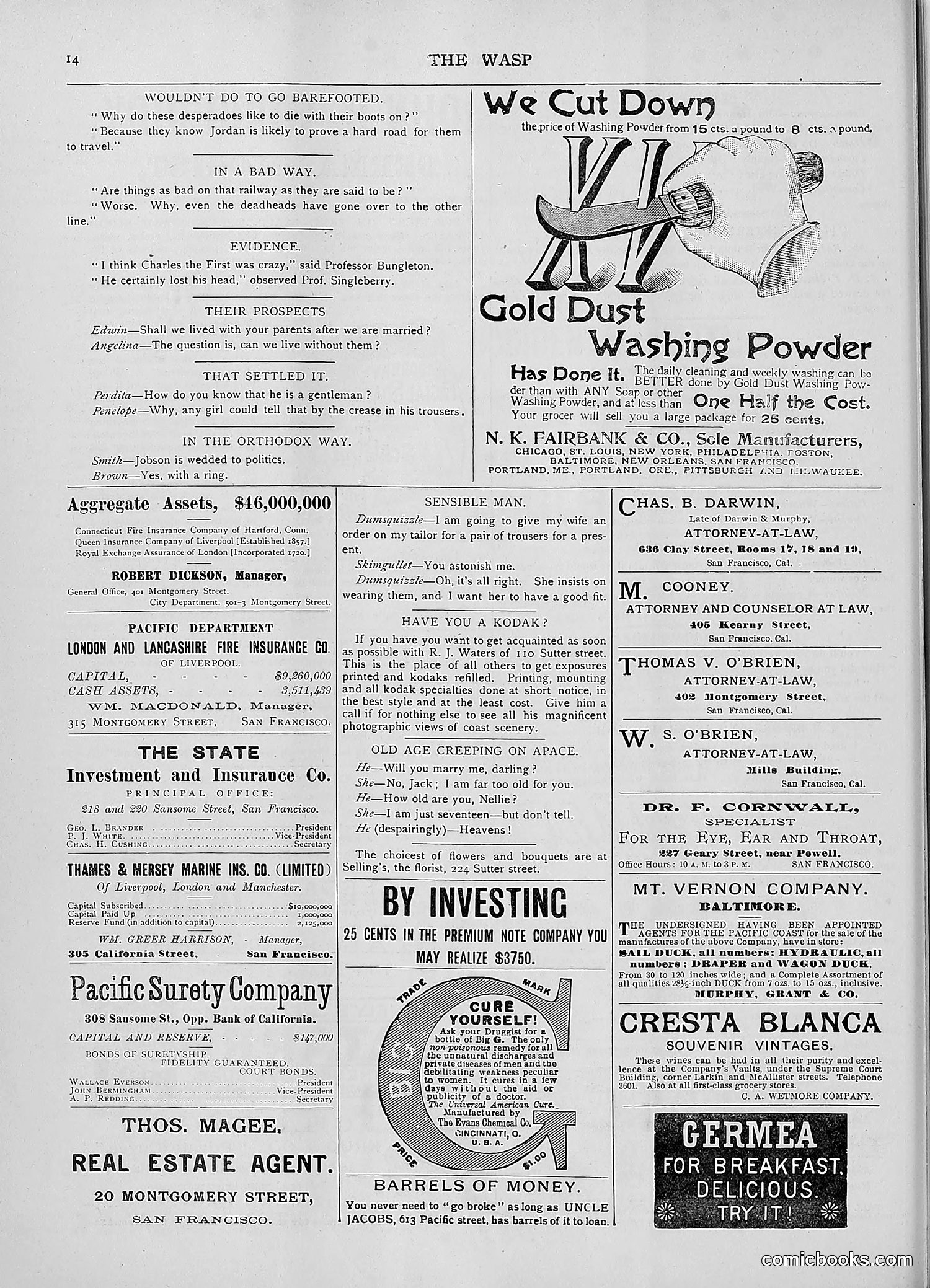 The Wasp — 1892 — page 431 of 590