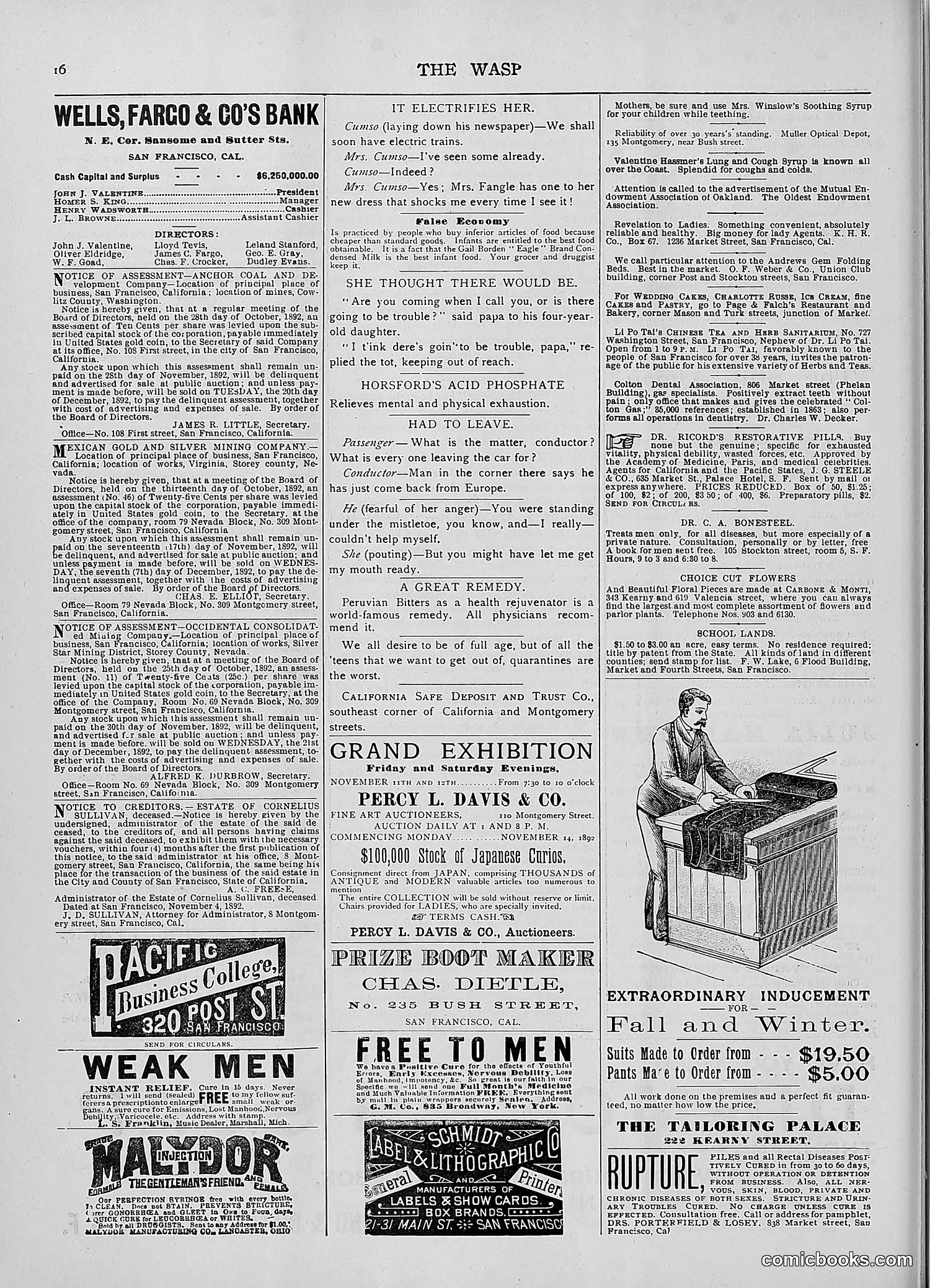 The Wasp — 1892 — page 433 of 590