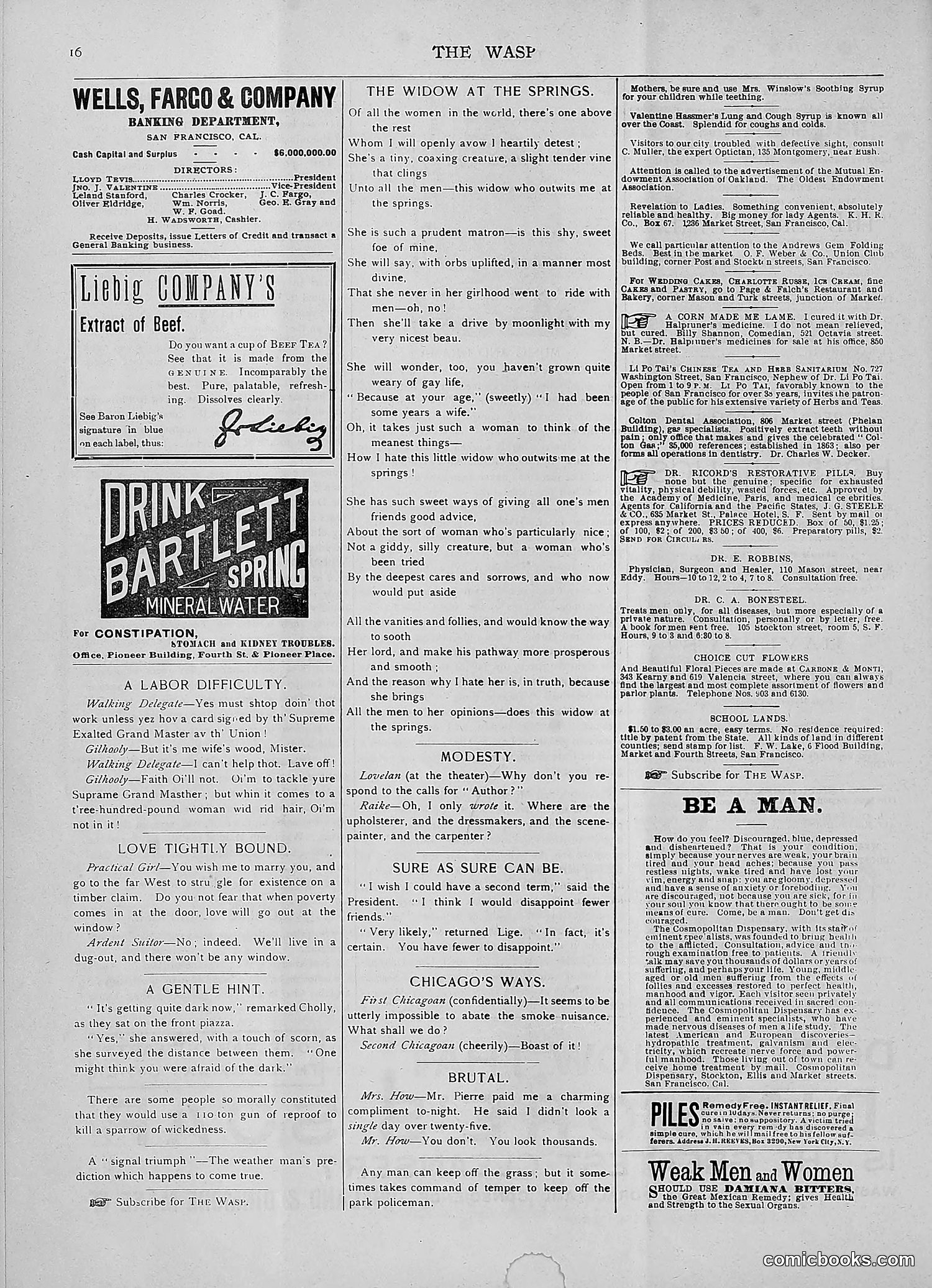 The Wasp — 1892 — page 45 of 590