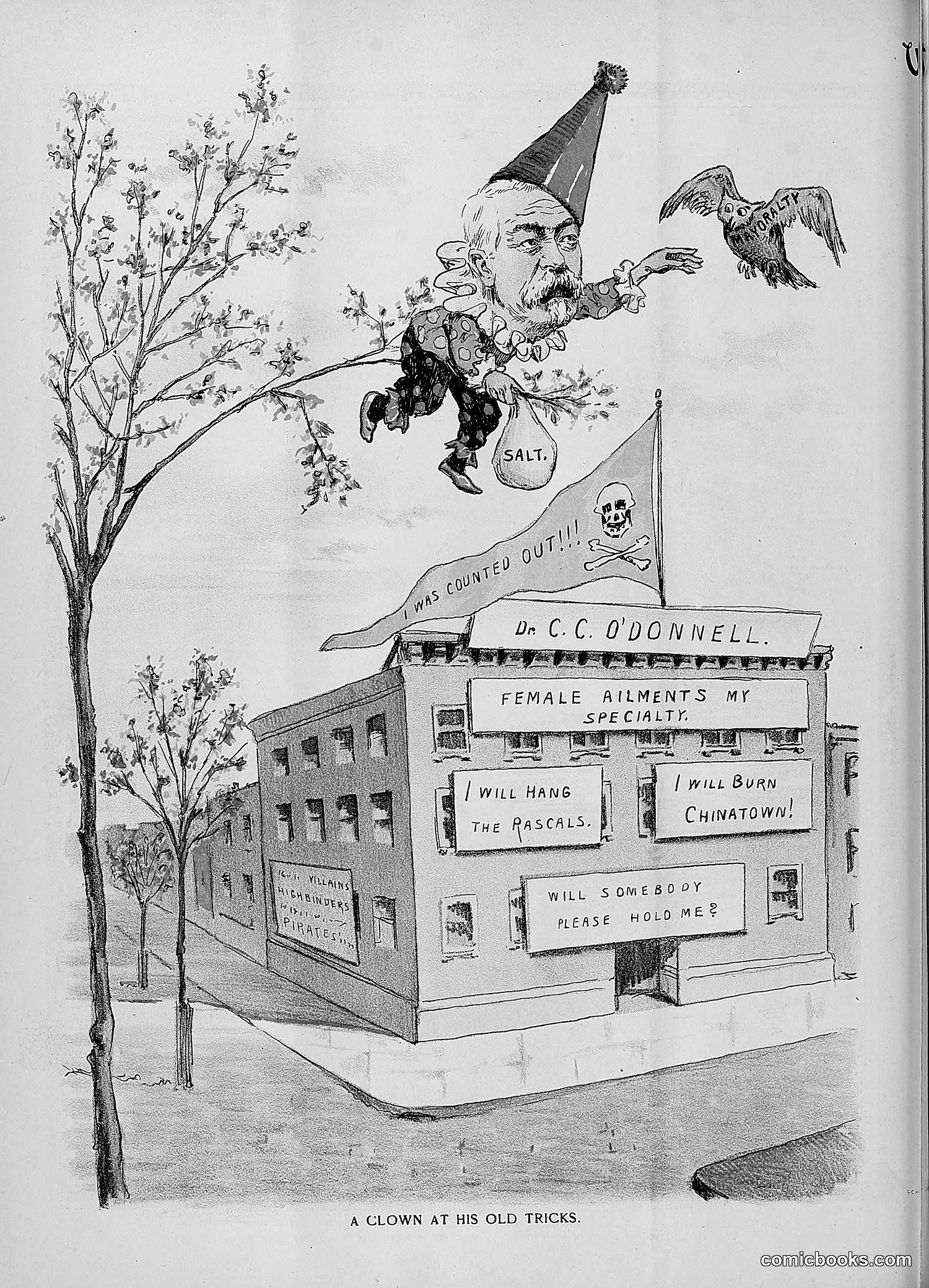 The Wasp — 1892 — page 447 of 590