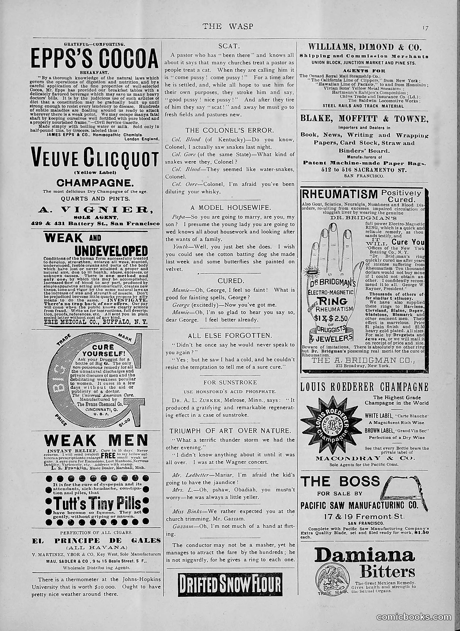 The Wasp — 1892 — page 46 of 590