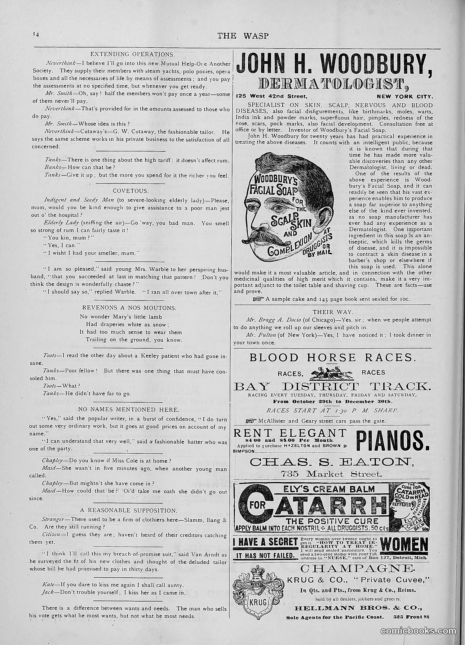 The Wasp — 1892 — page 451 of 590