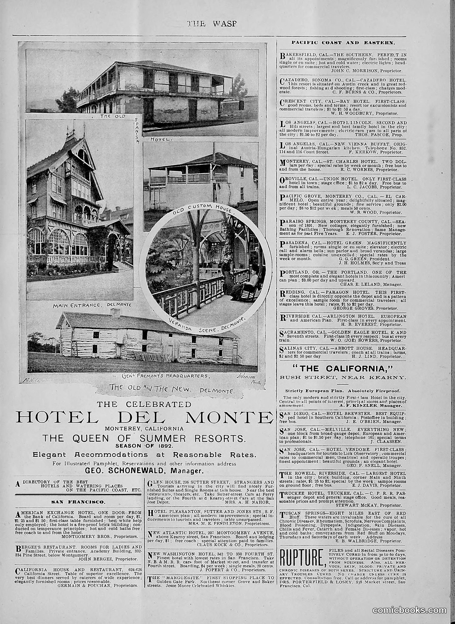 The Wasp — 1892 — page 48 of 590