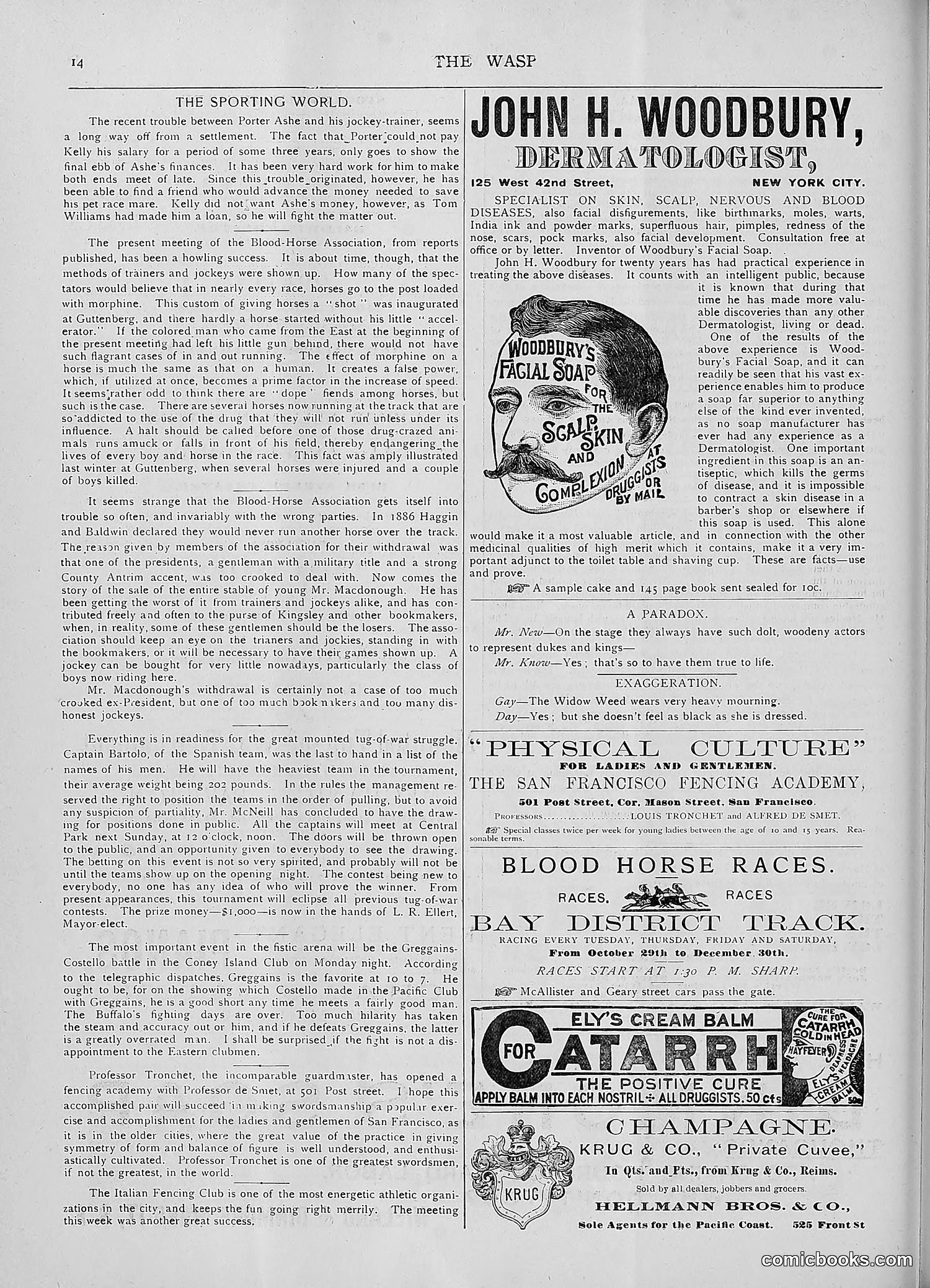The Wasp — 1892 — page 471 of 590