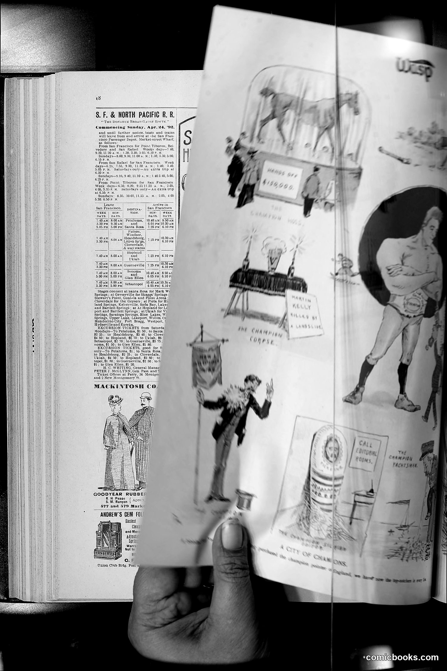 The Wasp — 1892 — page 477 of 590