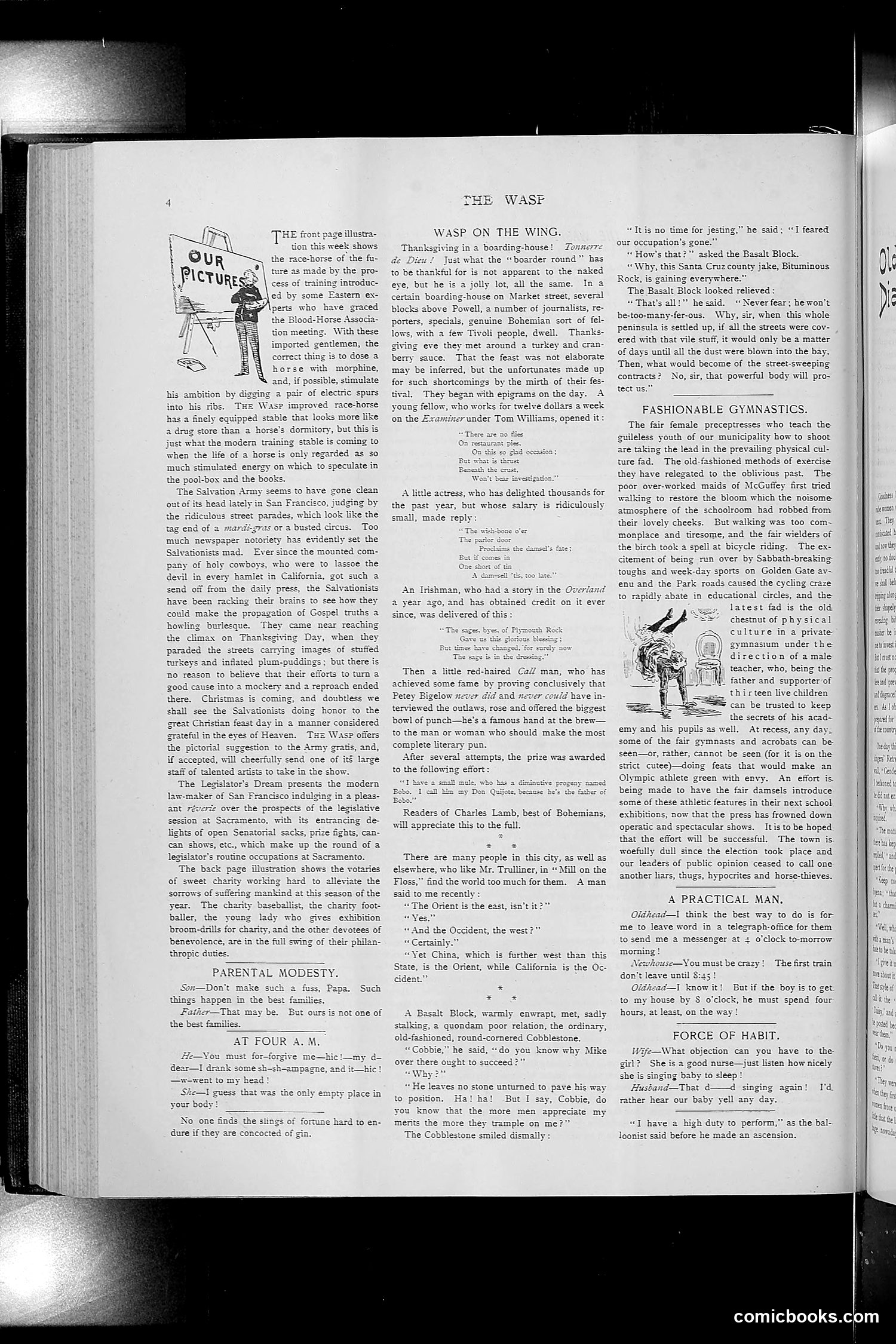 The Wasp — 1892 — page 483 of 590