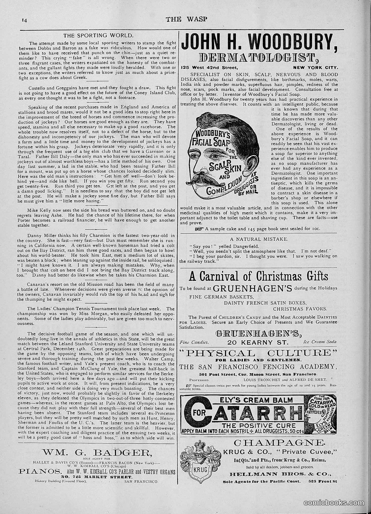 The Wasp — 1892 — page 495 of 590