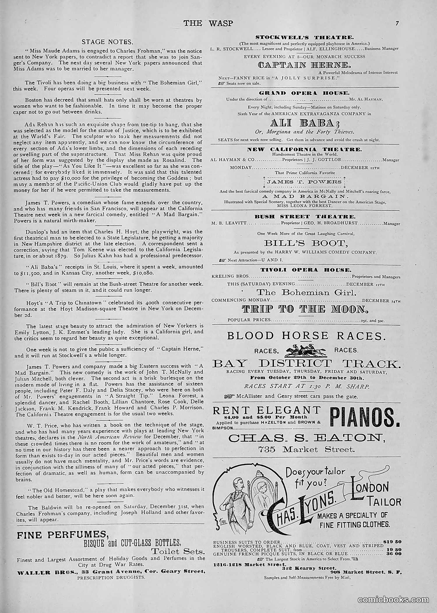 The Wasp — 1892 — page 508 of 590