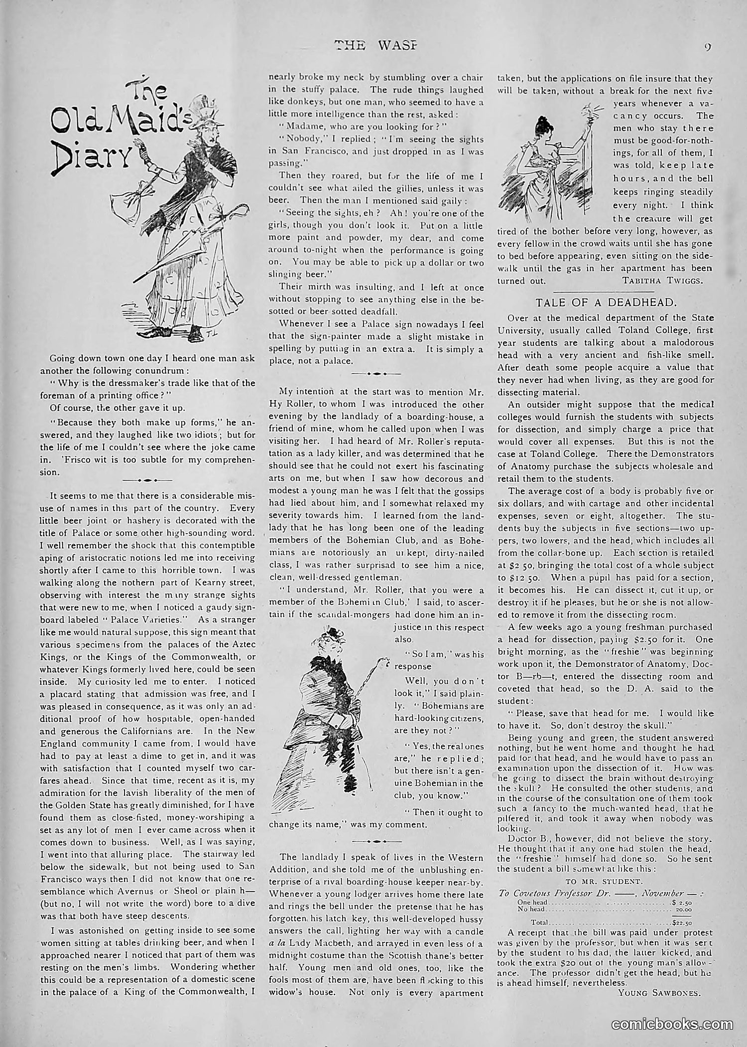 The Wasp — 1892 — page 510 of 590