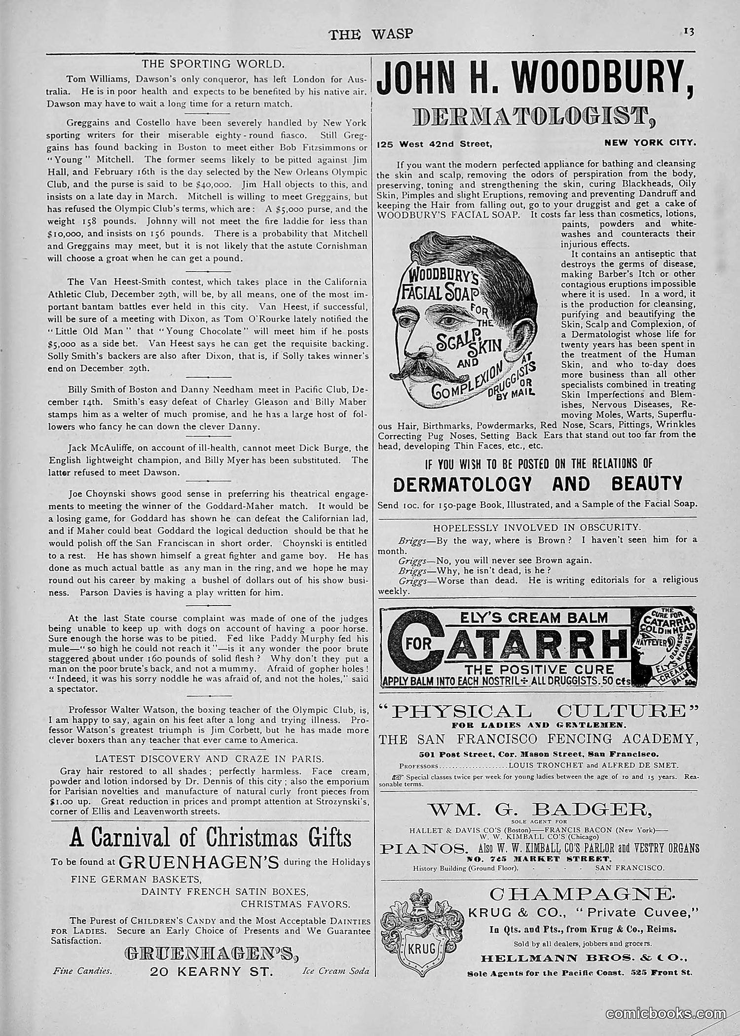 The Wasp — 1892 — page 514 of 590