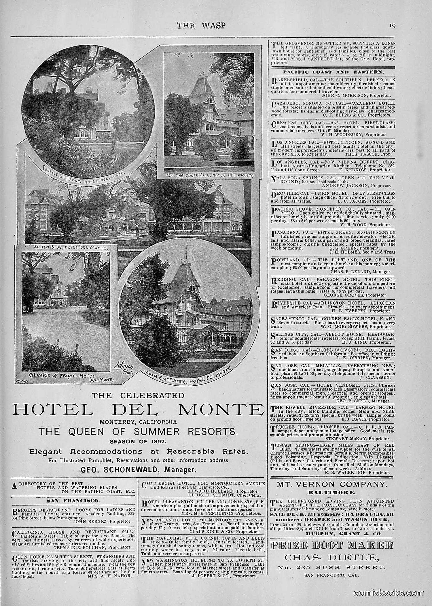 The Wasp — 1892 — page 520 of 590