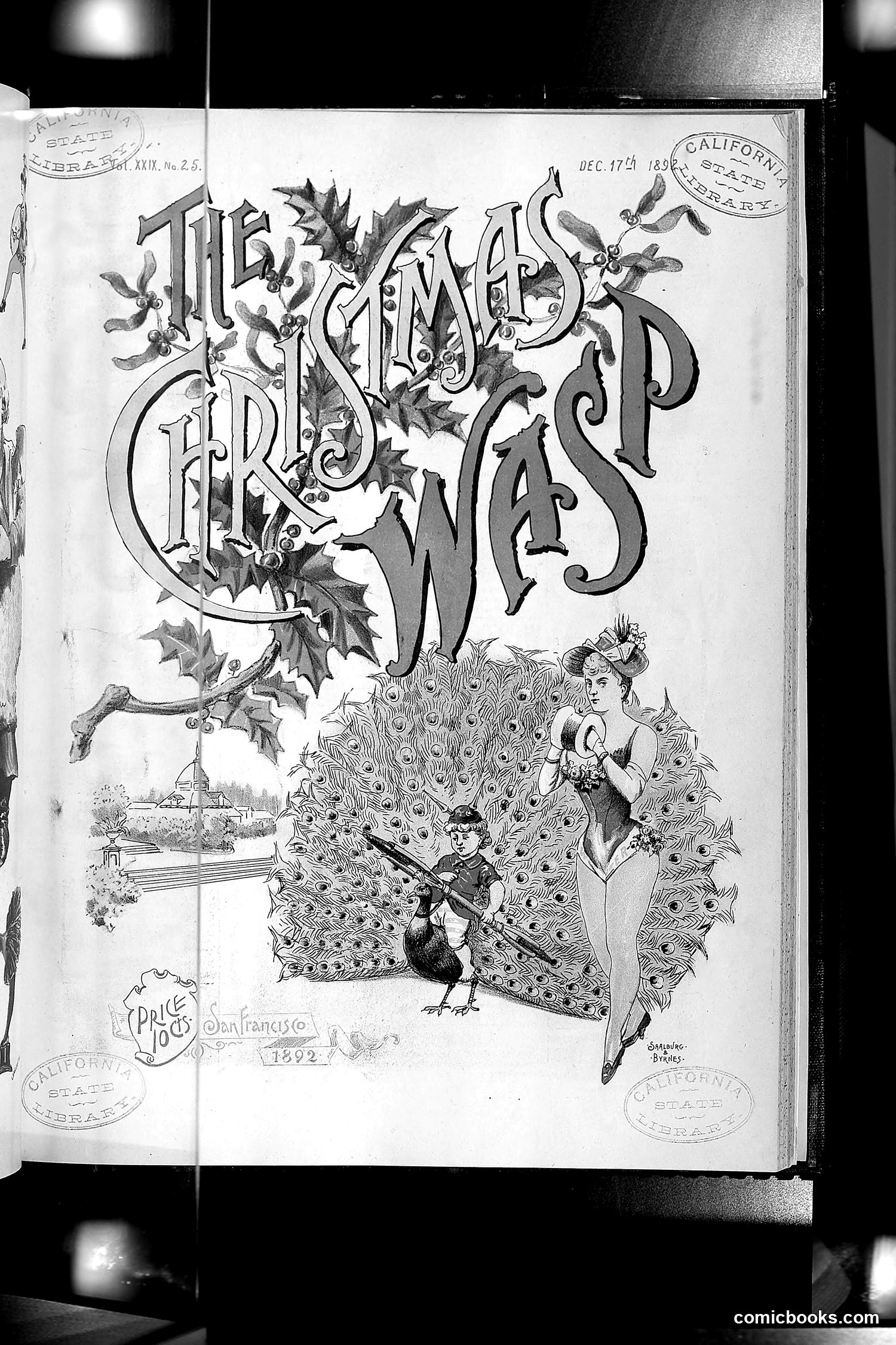 The Wasp — 1892 — page 522 of 590