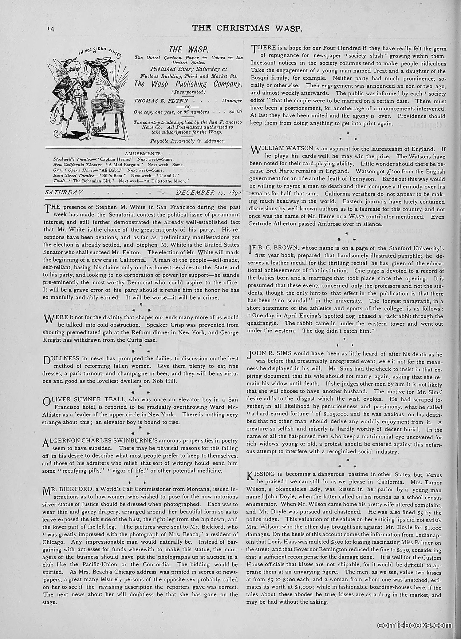 The Wasp — 1892 — page 537 of 590