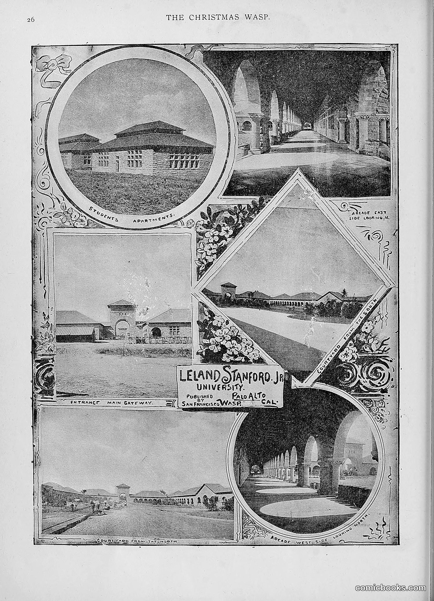 The Wasp — 1892 — page 549 of 590
