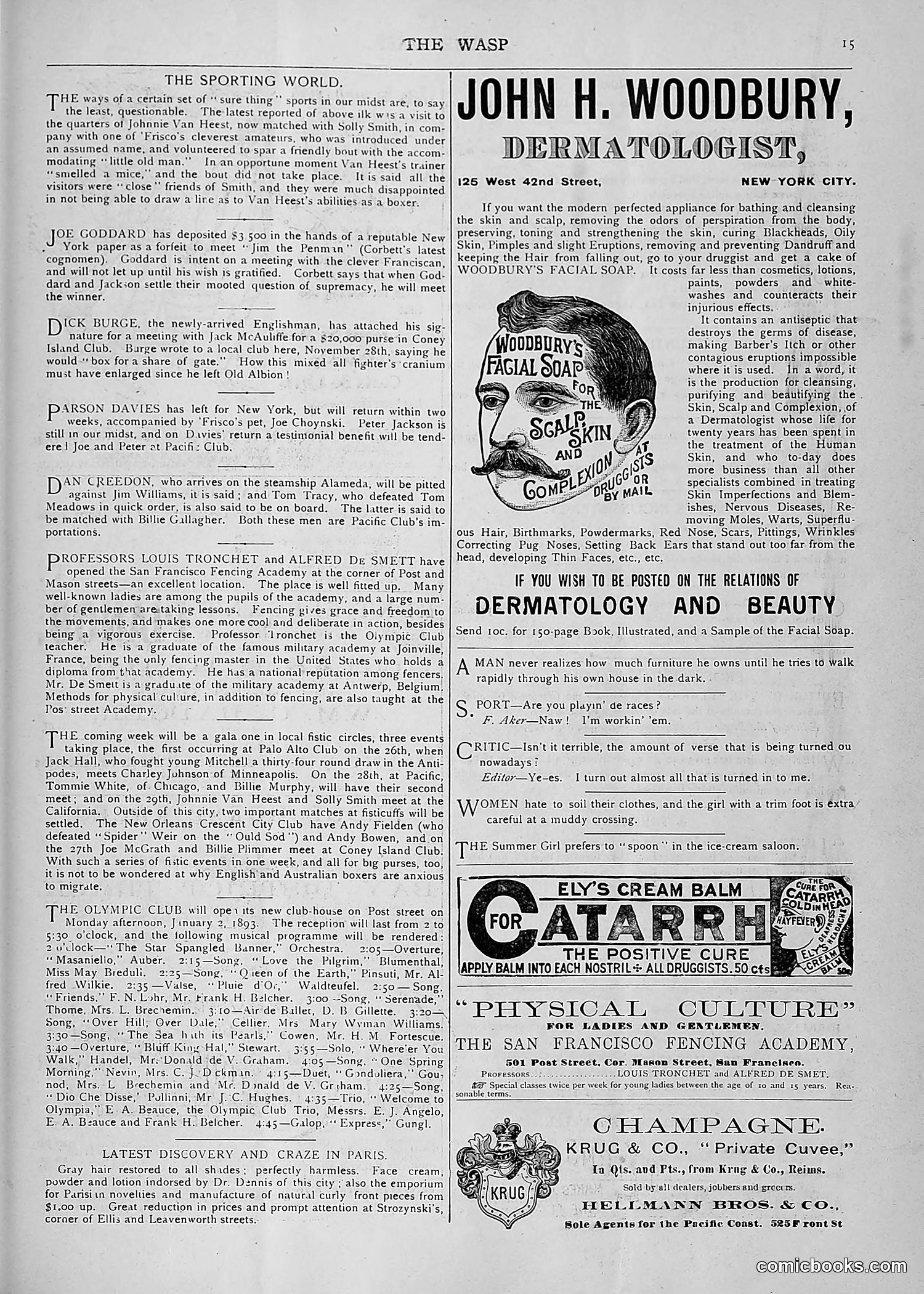 The Wasp — 1892 — page 574 of 590