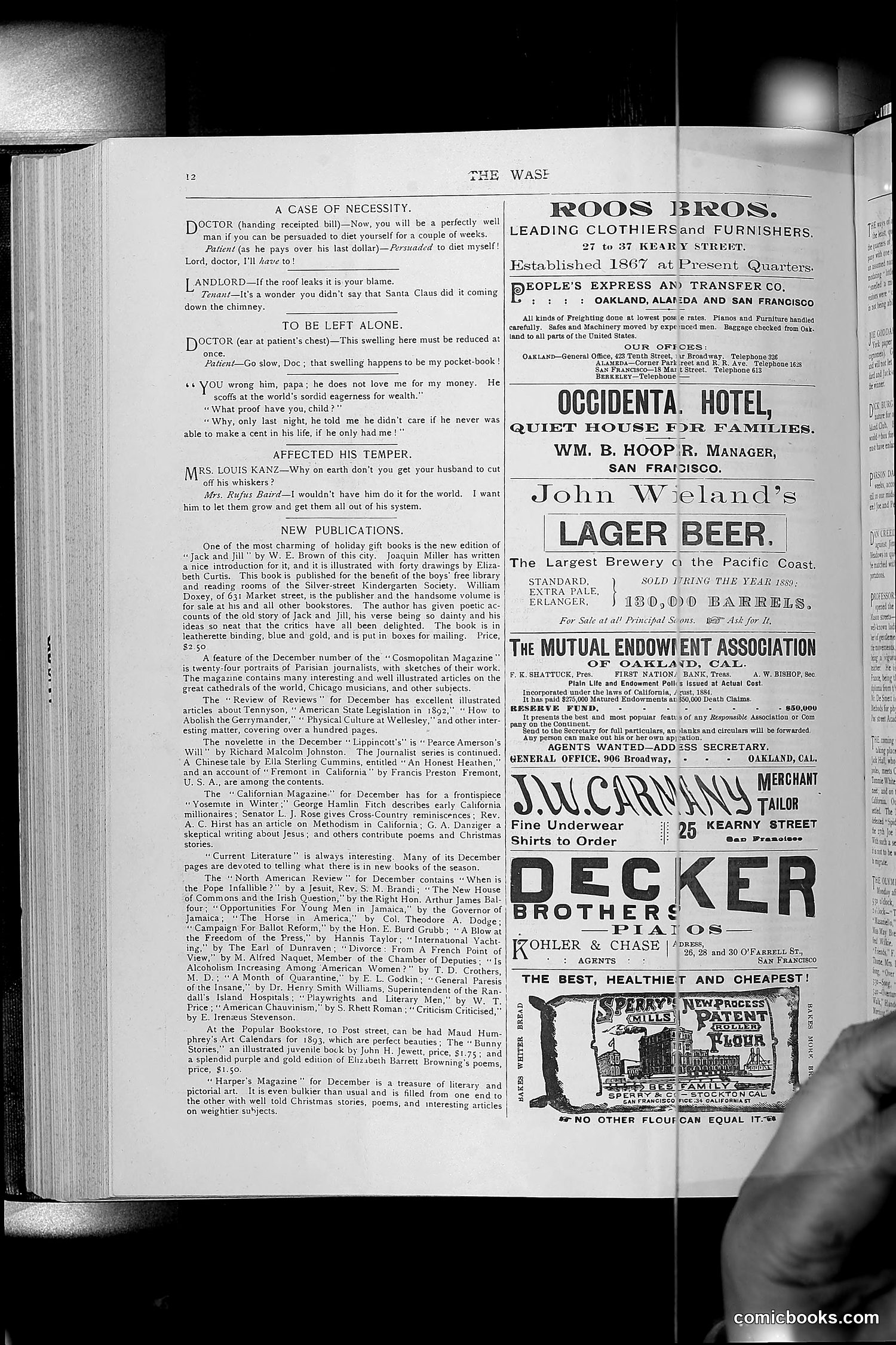 The Wasp — 1892 — page 575 of 590