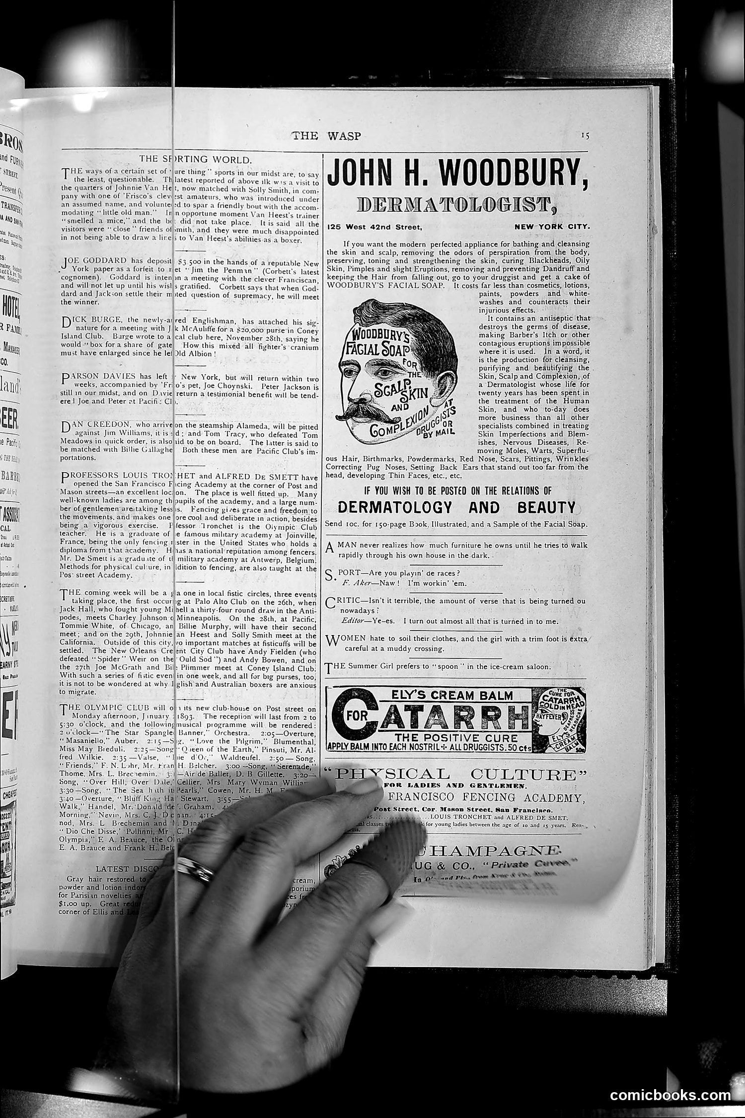 The Wasp — 1892 — page 576 of 590