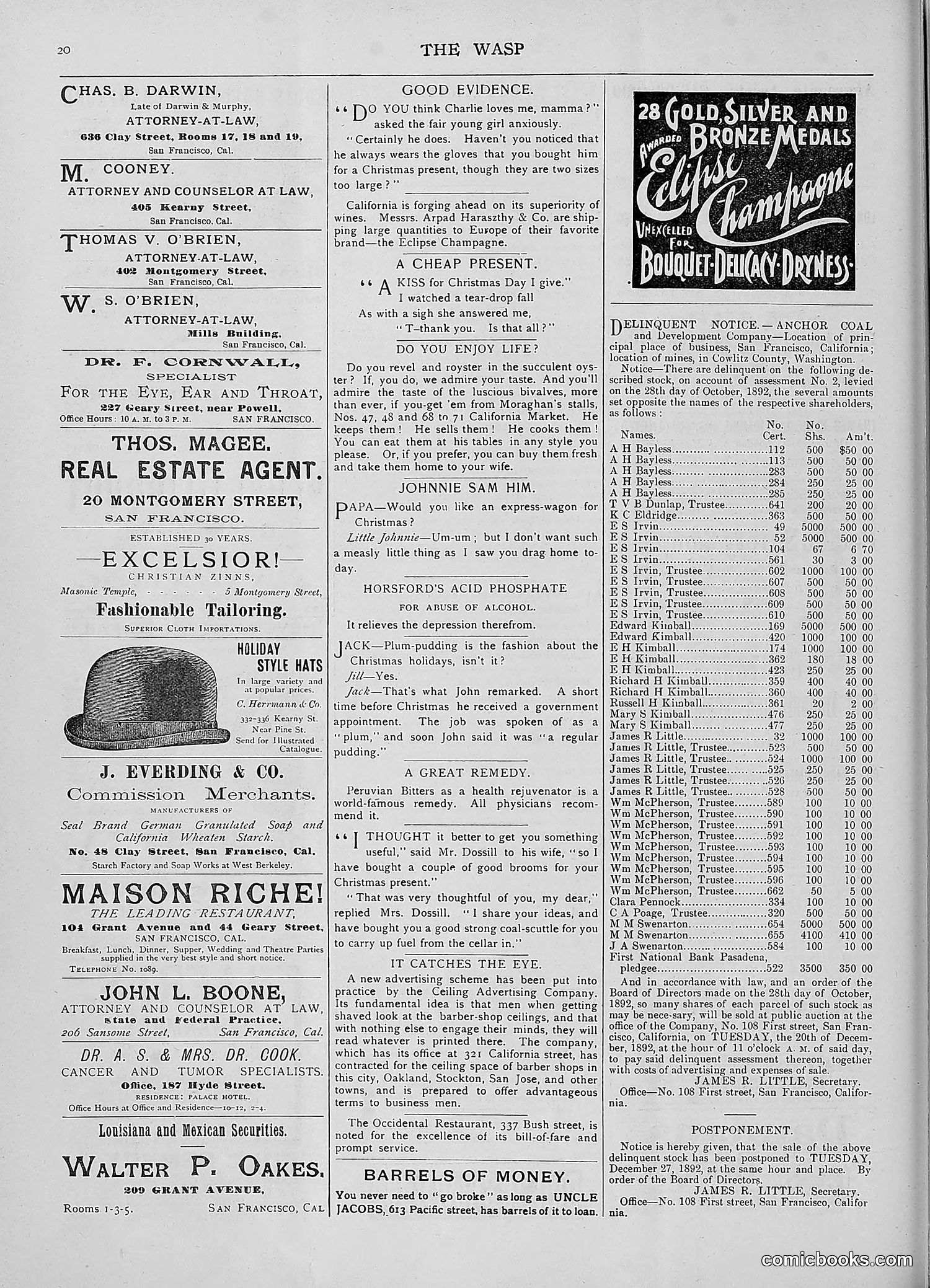 The Wasp — 1892 — page 581 of 590