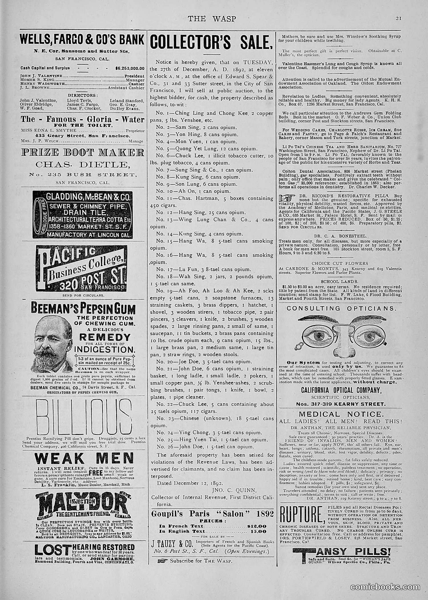 The Wasp — 1892 — page 582 of 590