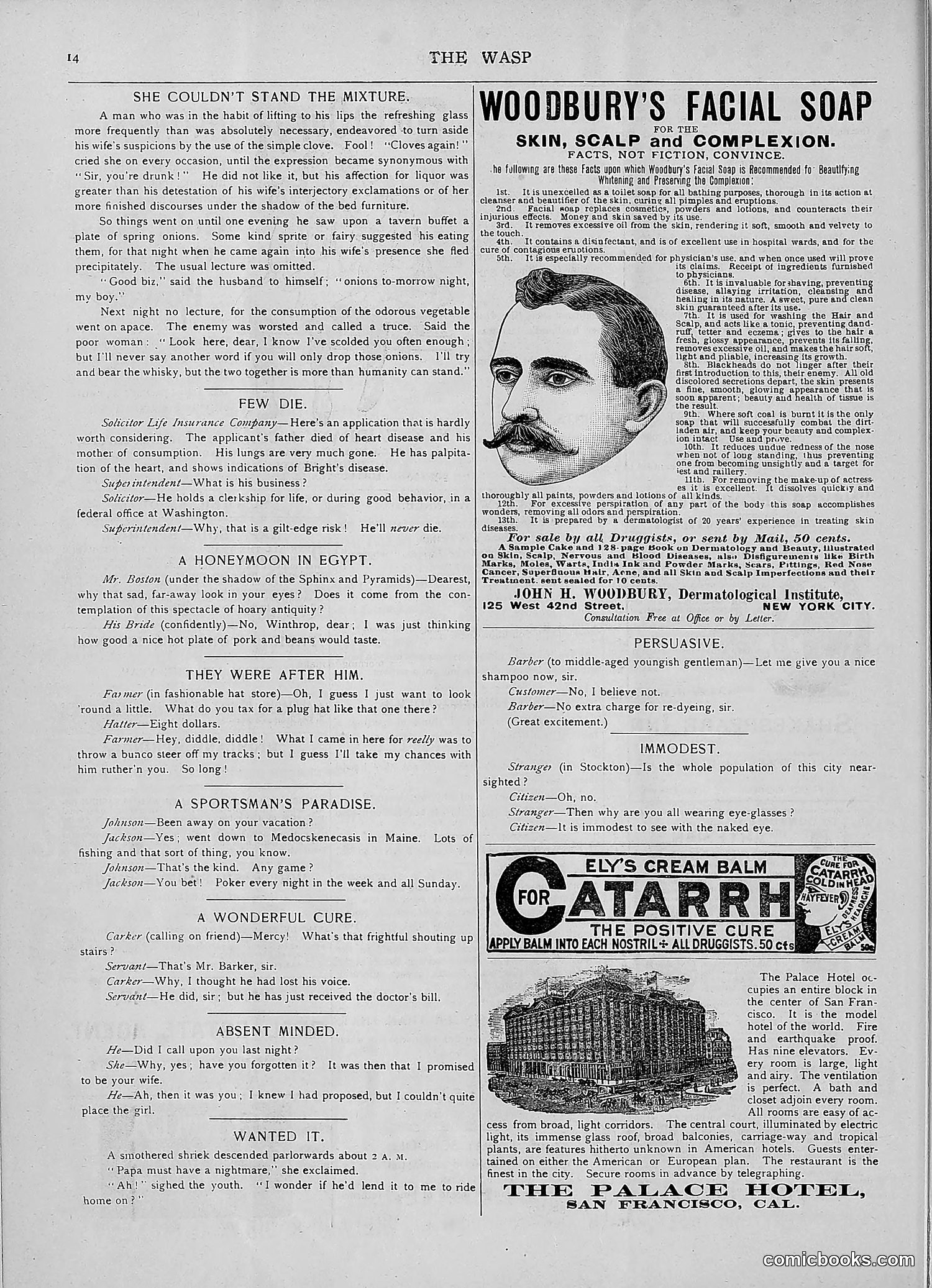 The Wasp — 1892 — page 63 of 590