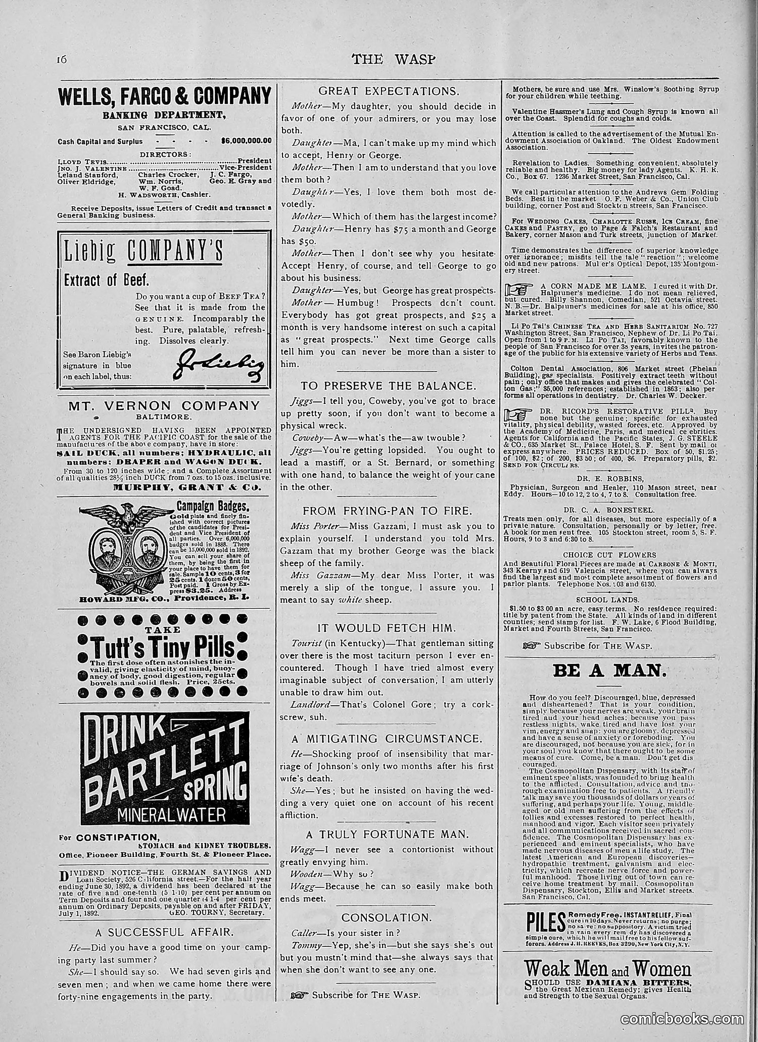 The Wasp — 1892 — page 65 of 590
