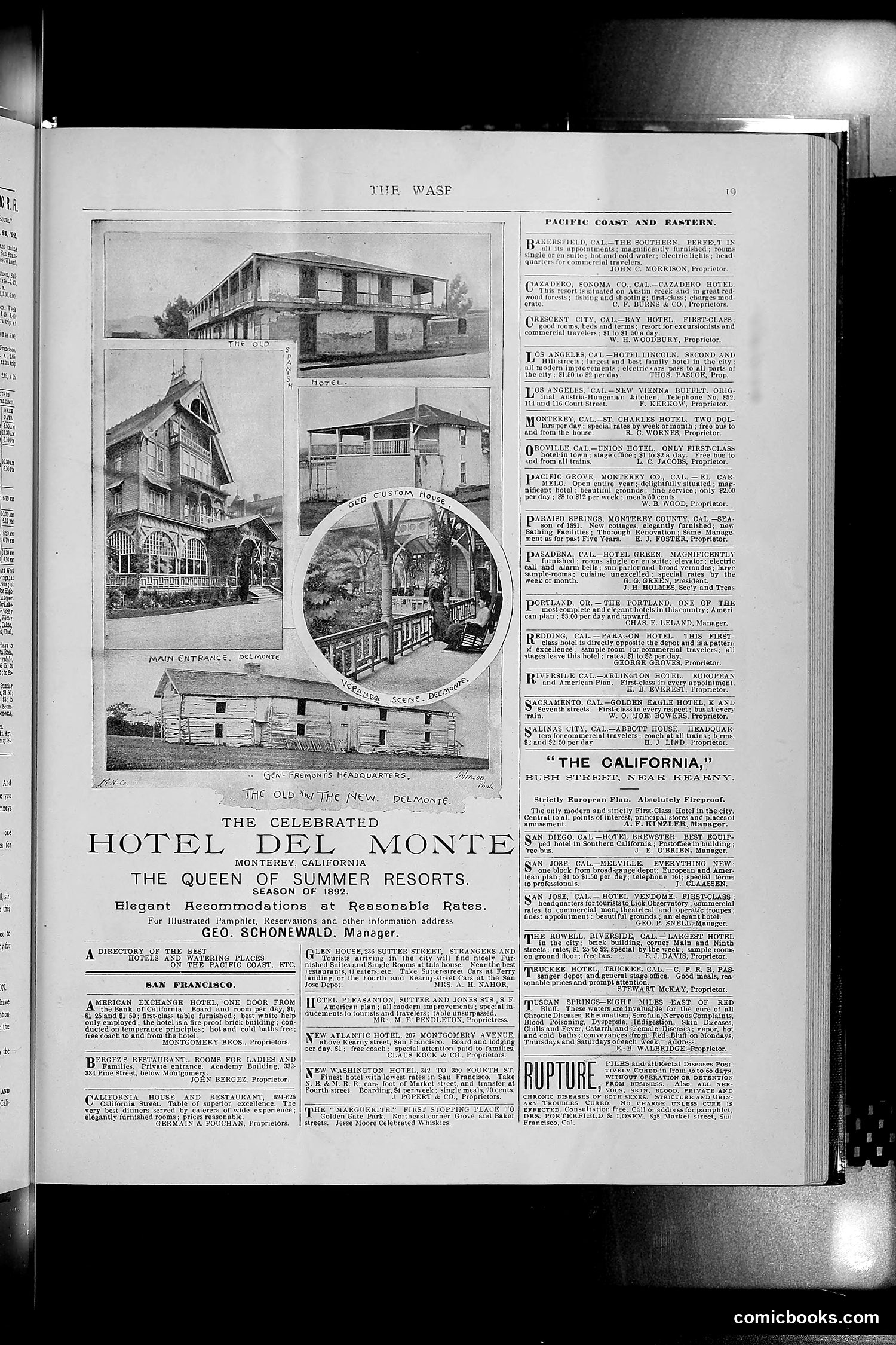 The Wasp — 1892 — page 70 of 590
